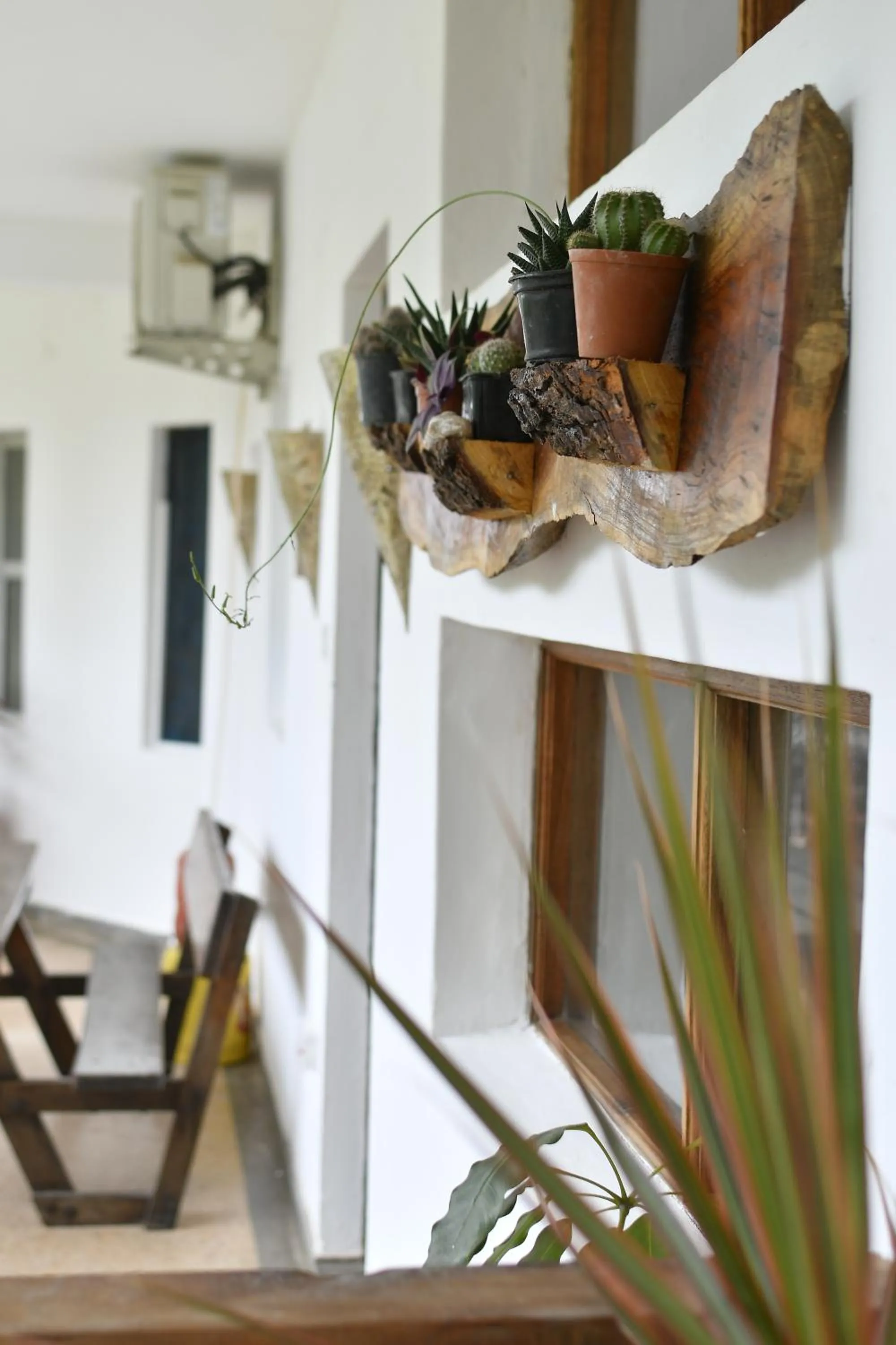 Tulia House Backpackers