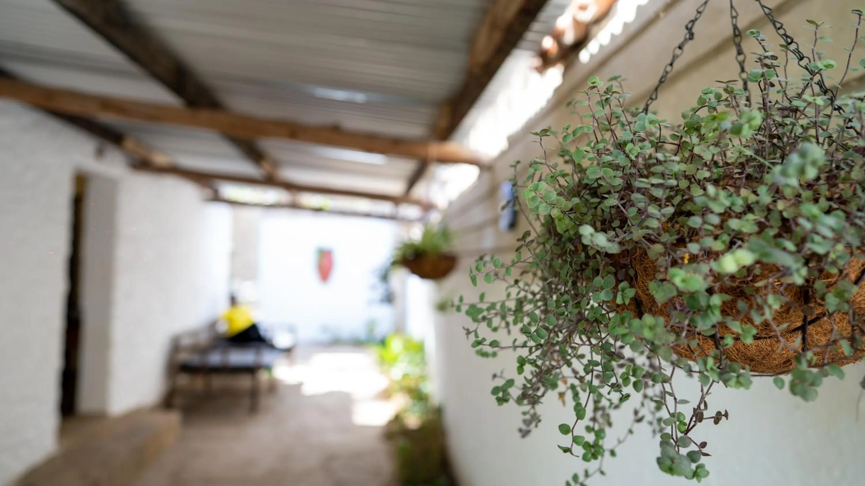 Property building in Tulia House Backpackers