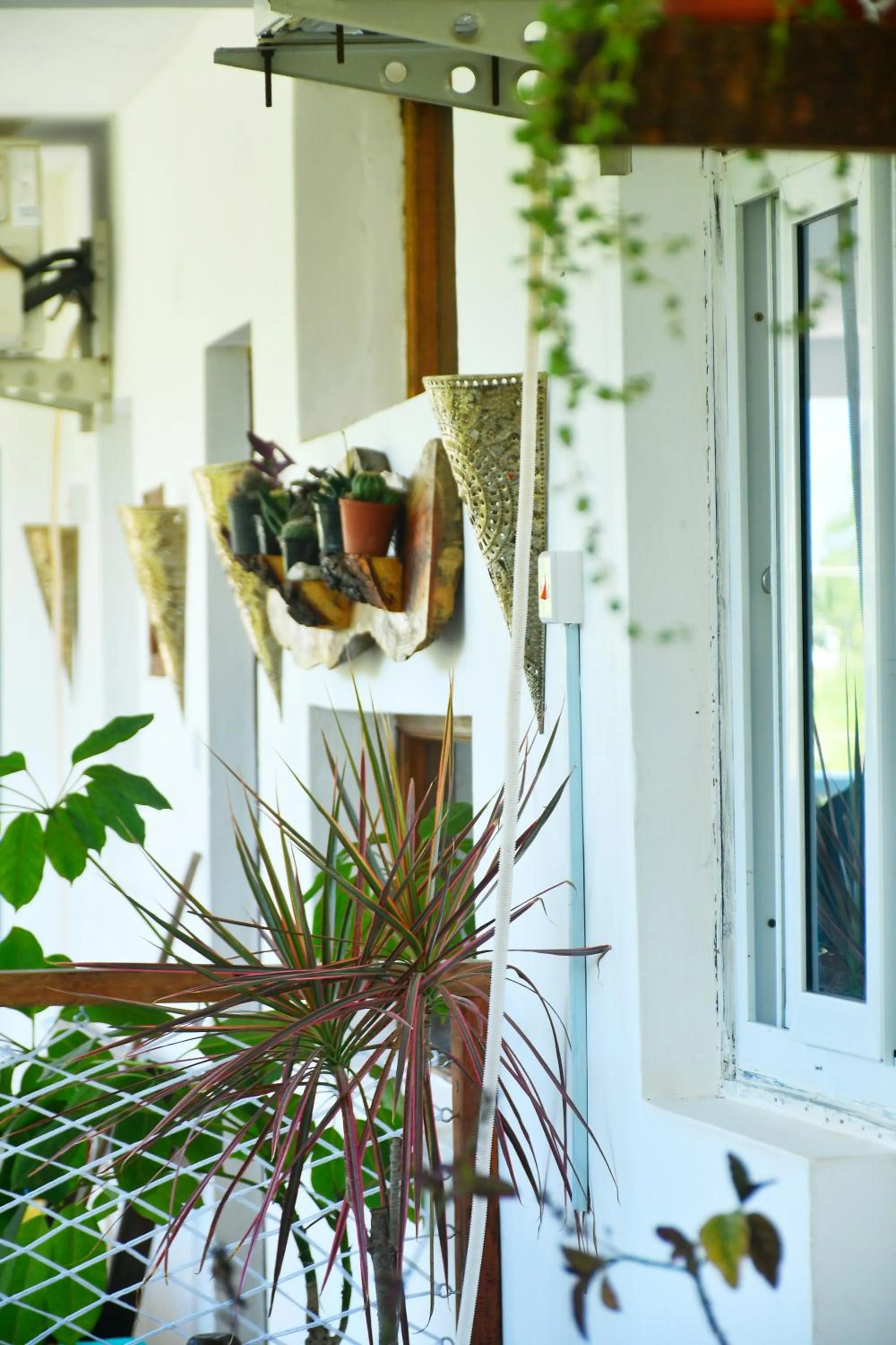 Tulia House Backpackers