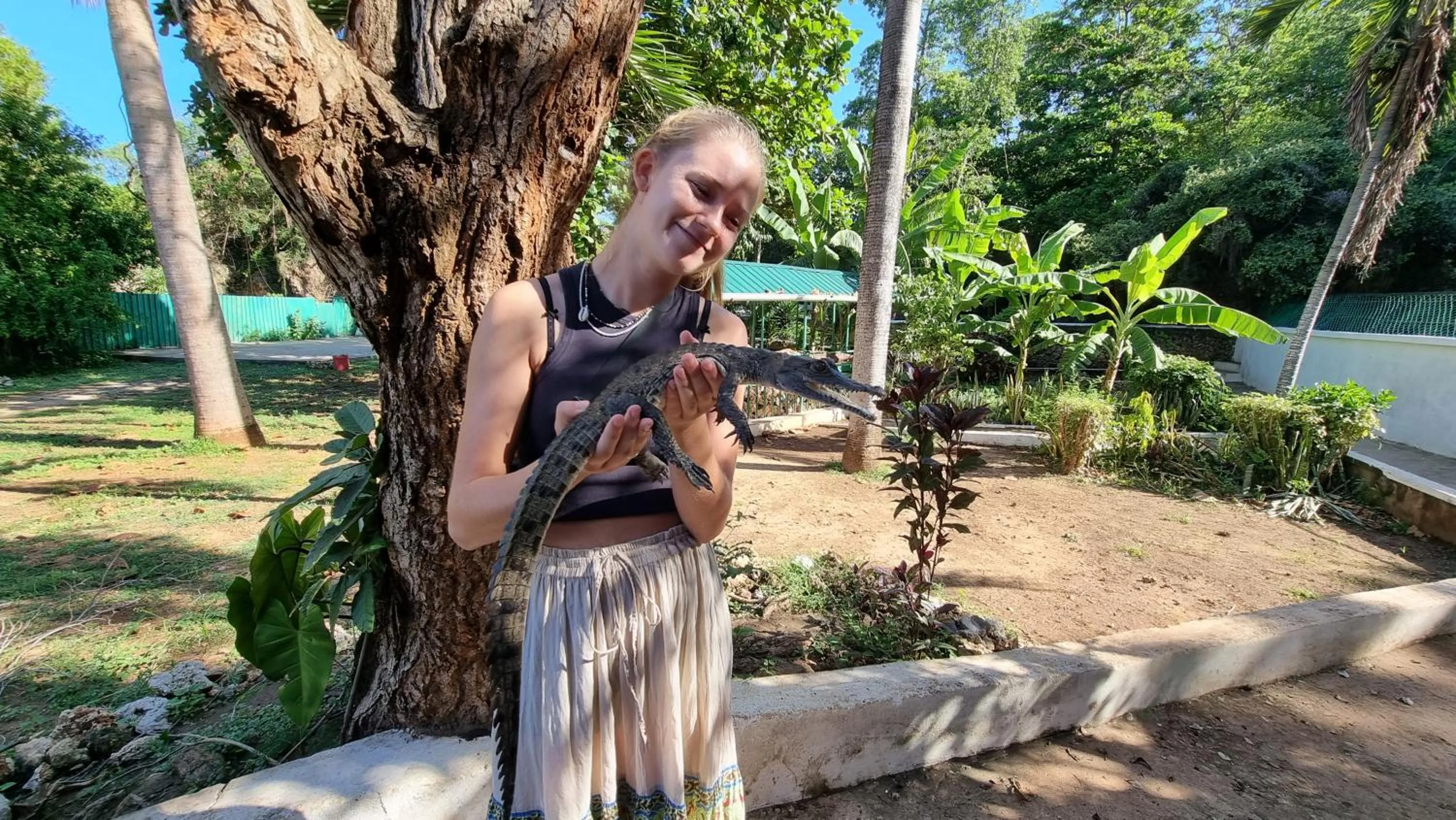 Tulia House Backpackers