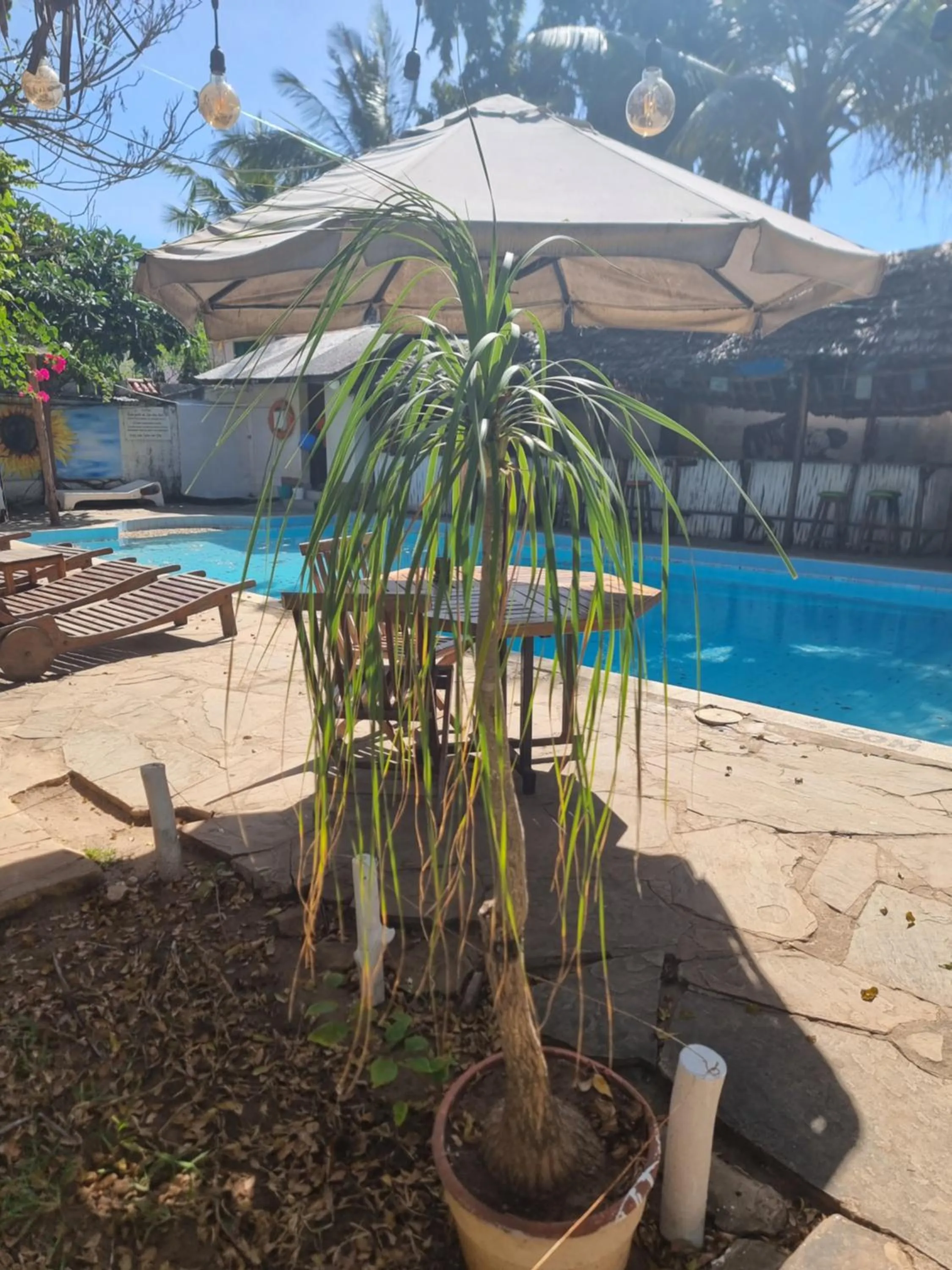 Tulia House Backpackers