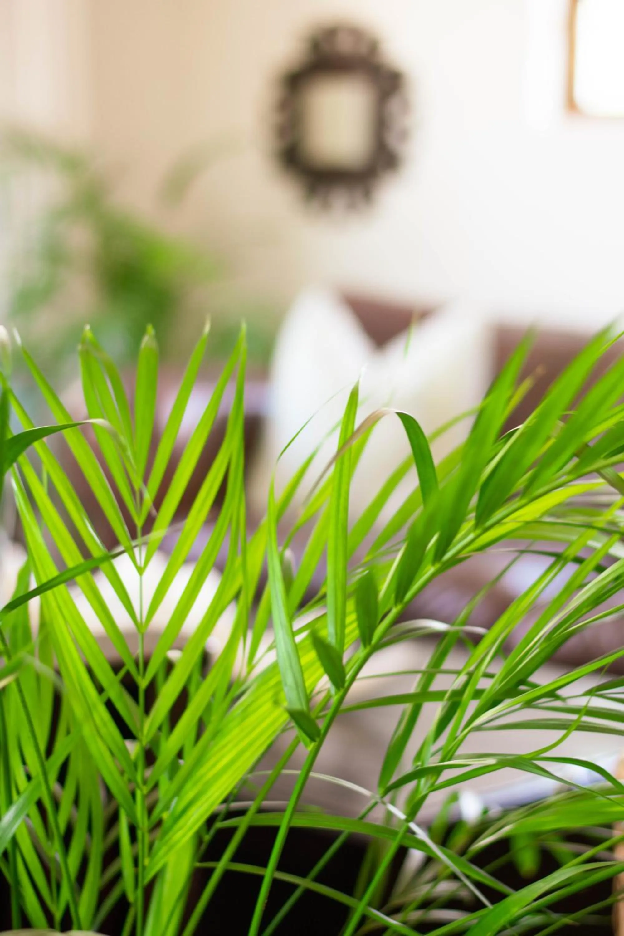 Decorative detail, Bed in African Sands B&B