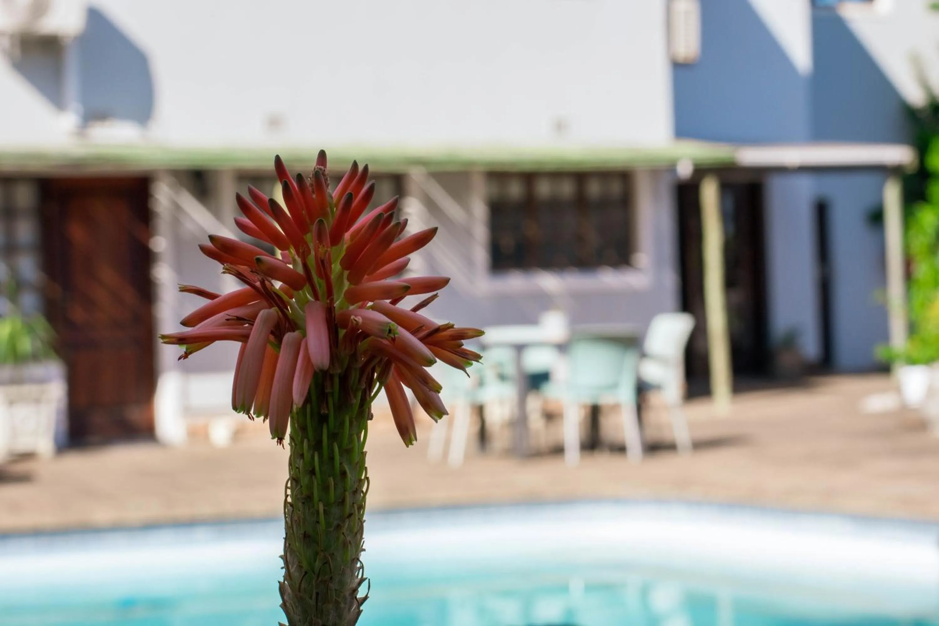Garden in African Sands B&B