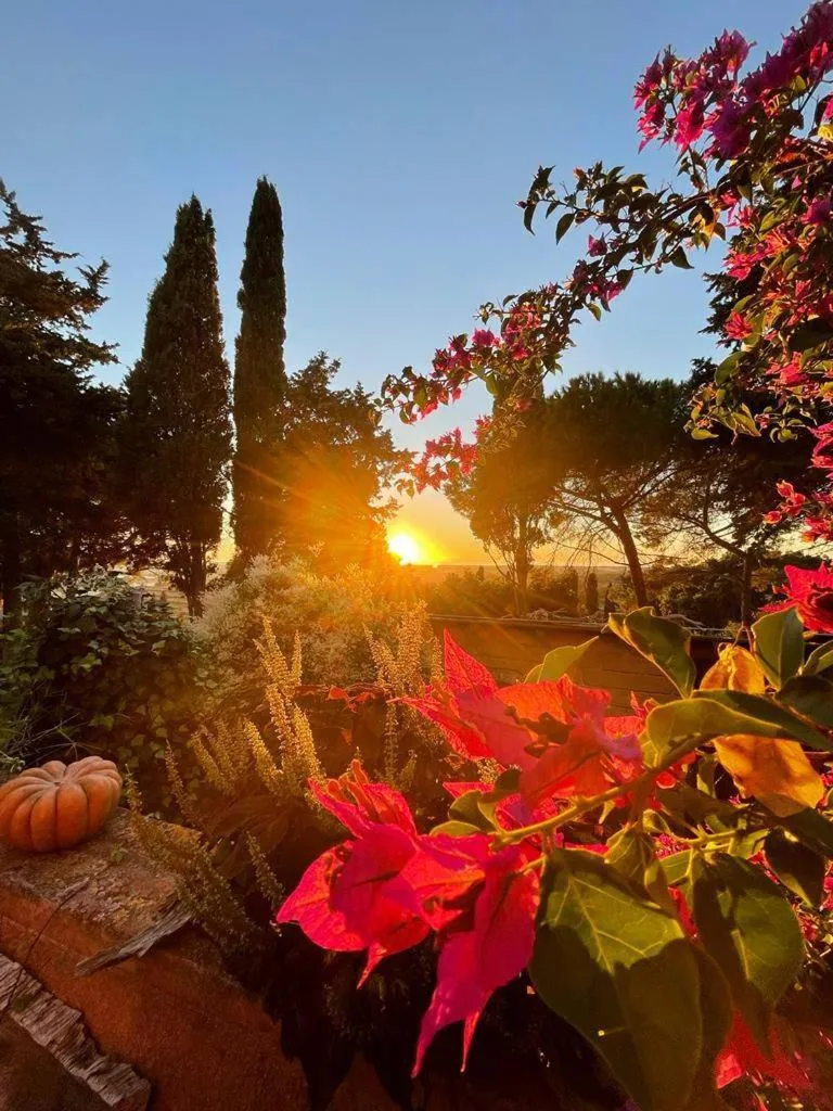 B&B Villa il Poggetto