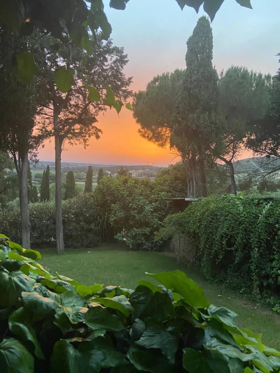 Garden in B&B Villa il Poggetto
