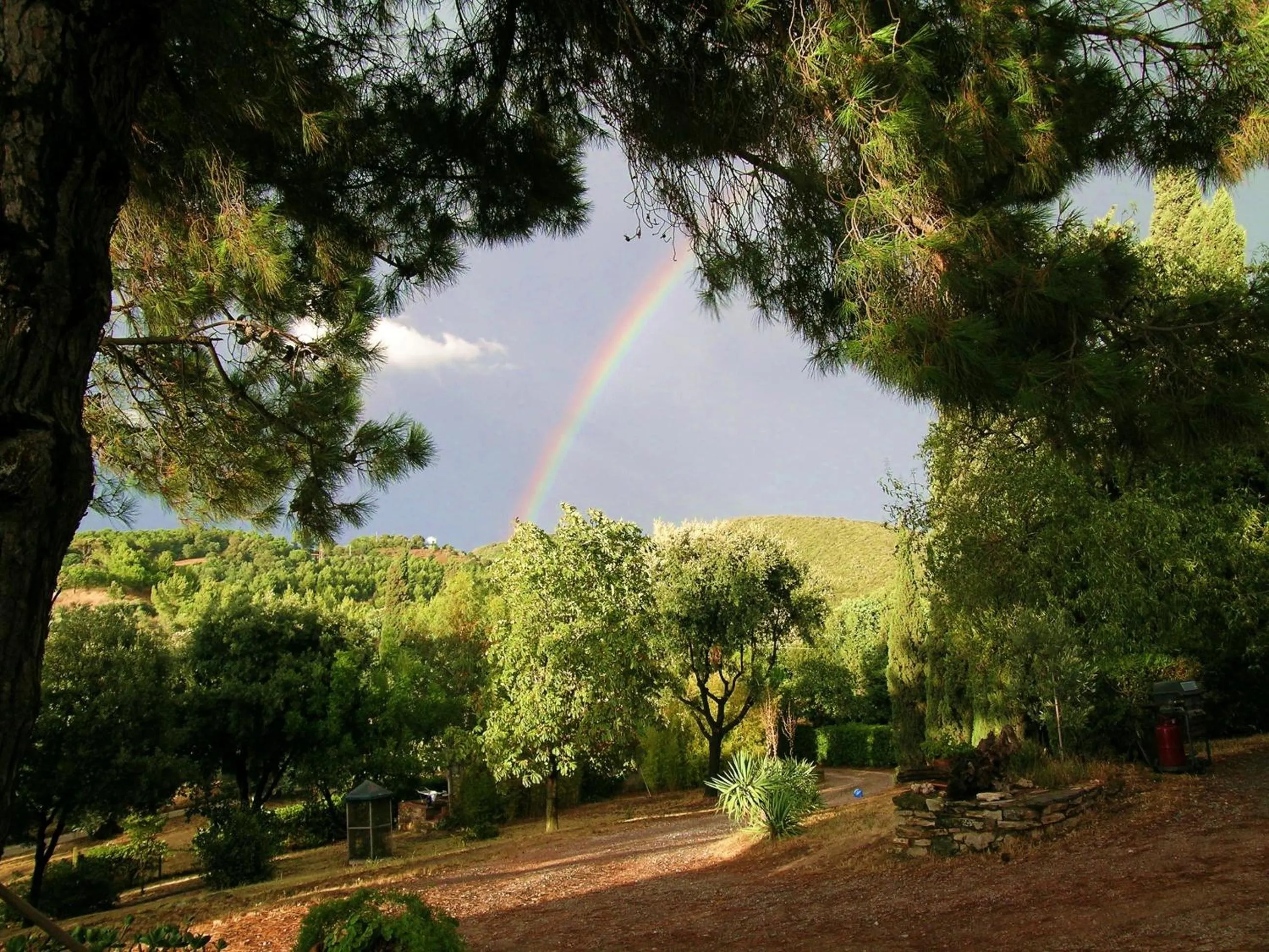 Garden in B&B Villa il Poggetto