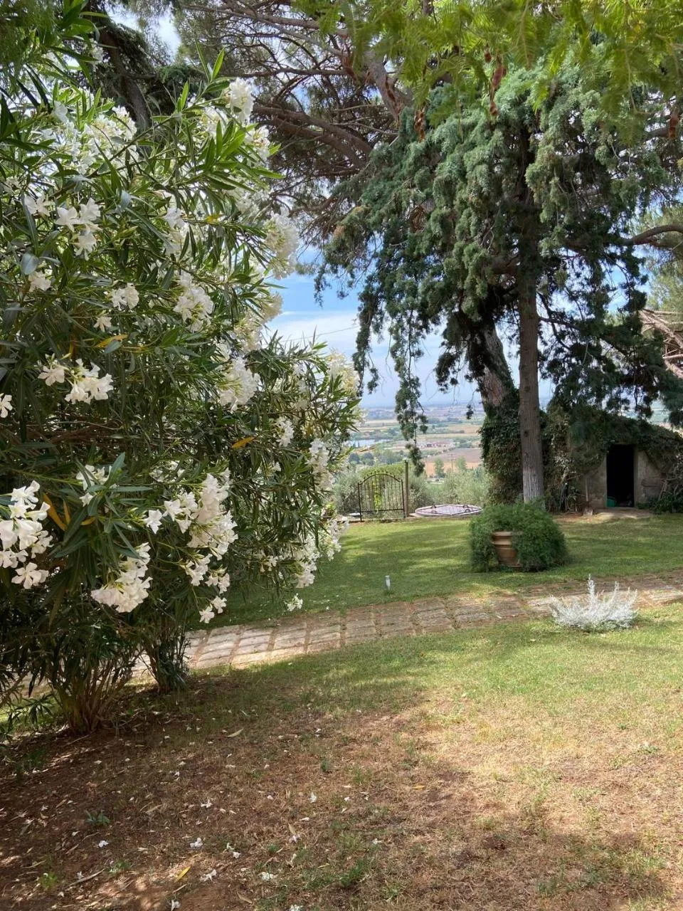 Garden in B&B Villa il Poggetto