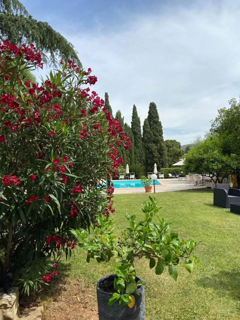 Garden in B&B Villa il Poggetto