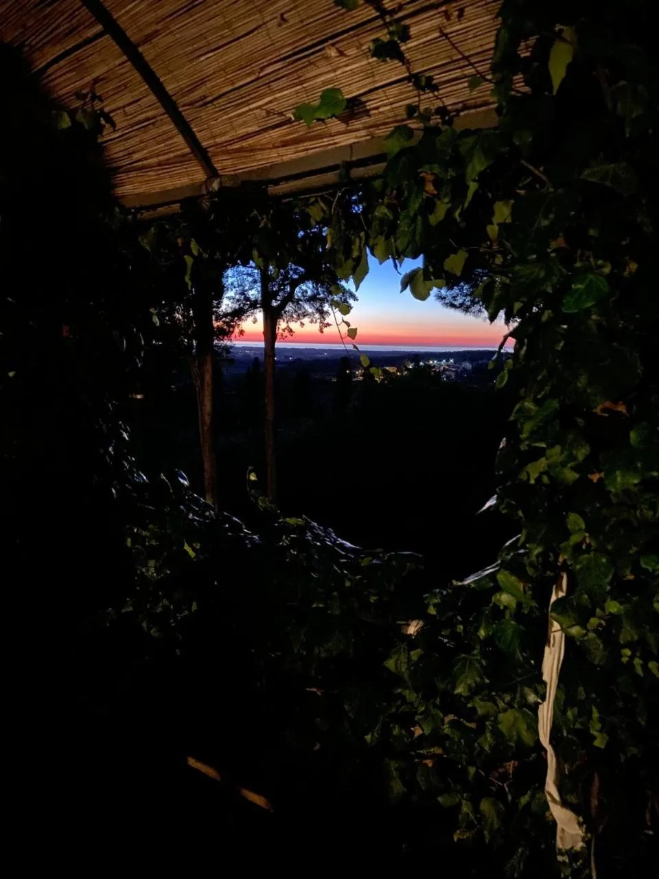 B&B Villa il Poggetto