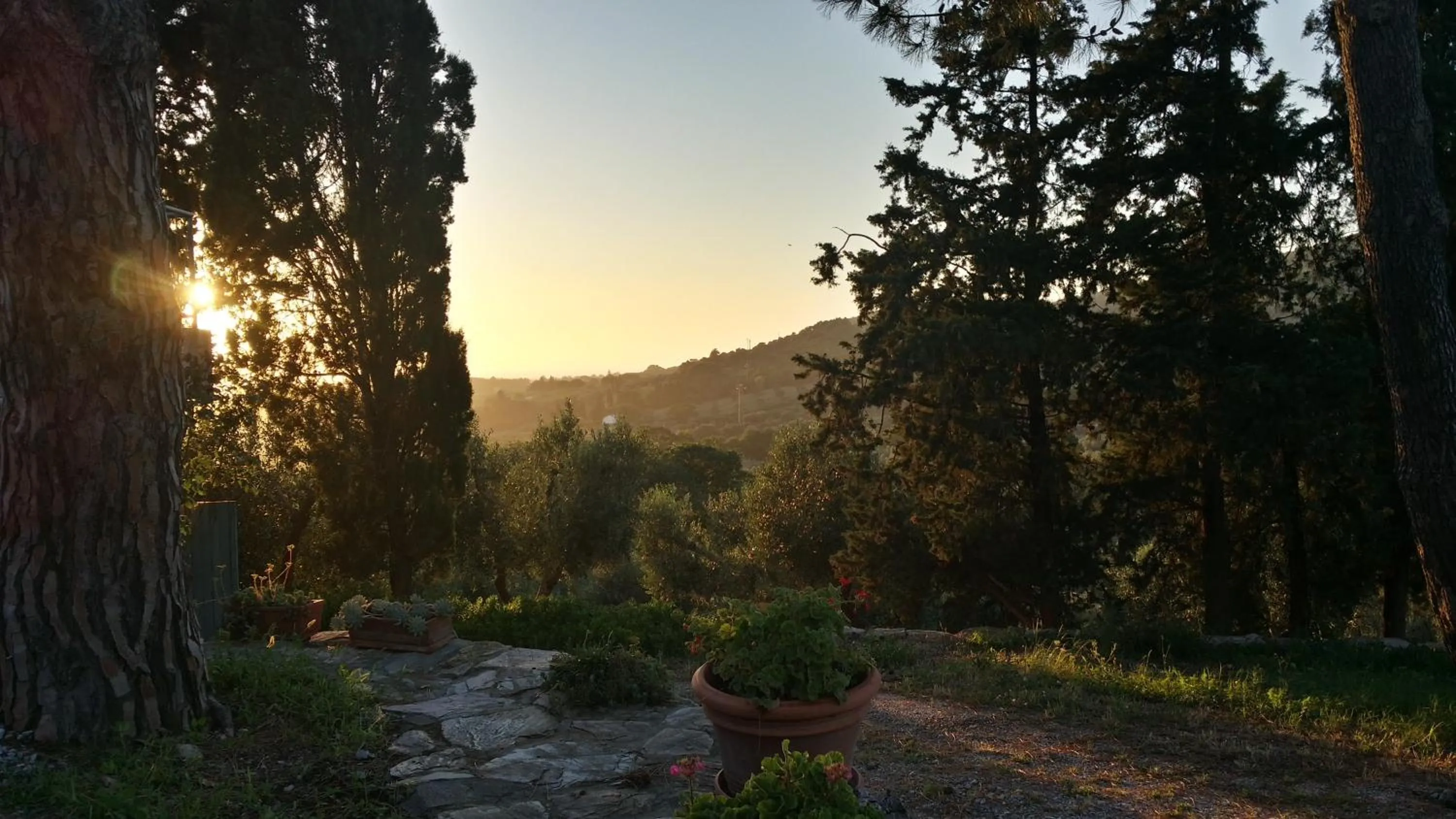 B&B Villa il Poggetto