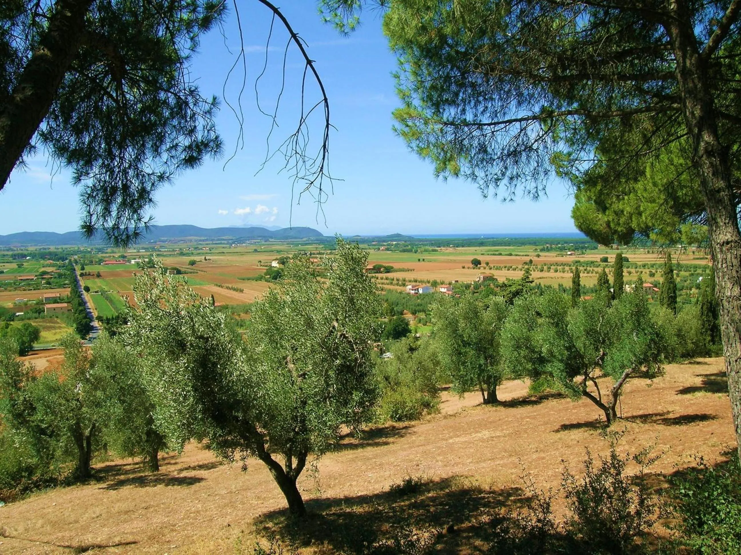 B&B Villa il Poggetto