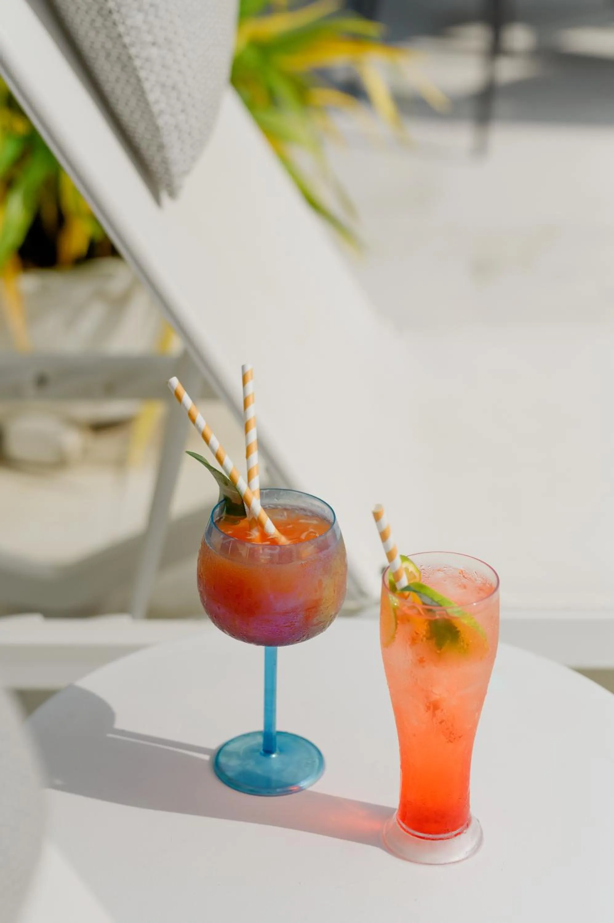 Drinks in Hotel Casa del Gobernador