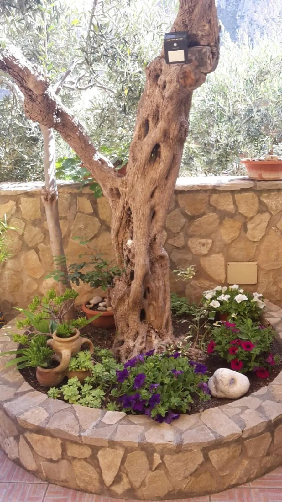 Patio in Modus B&B