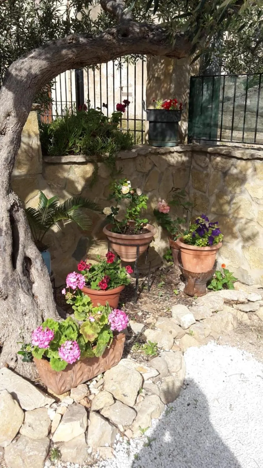 Garden in Modus B&B