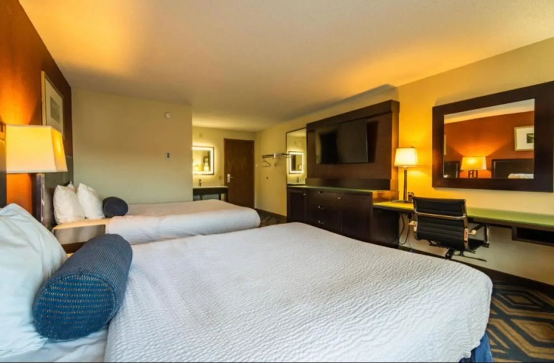 Bed in The Patch Lodge