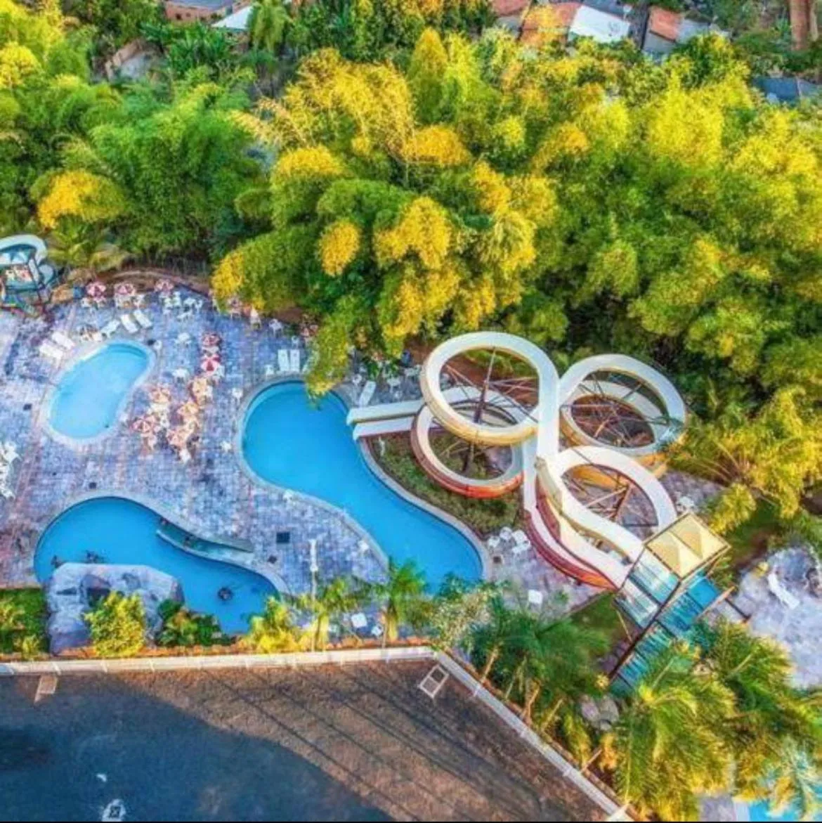 Apartment with Balcony - single occupancy in Golden Dolphin Grand Hotel - Caldas Novas