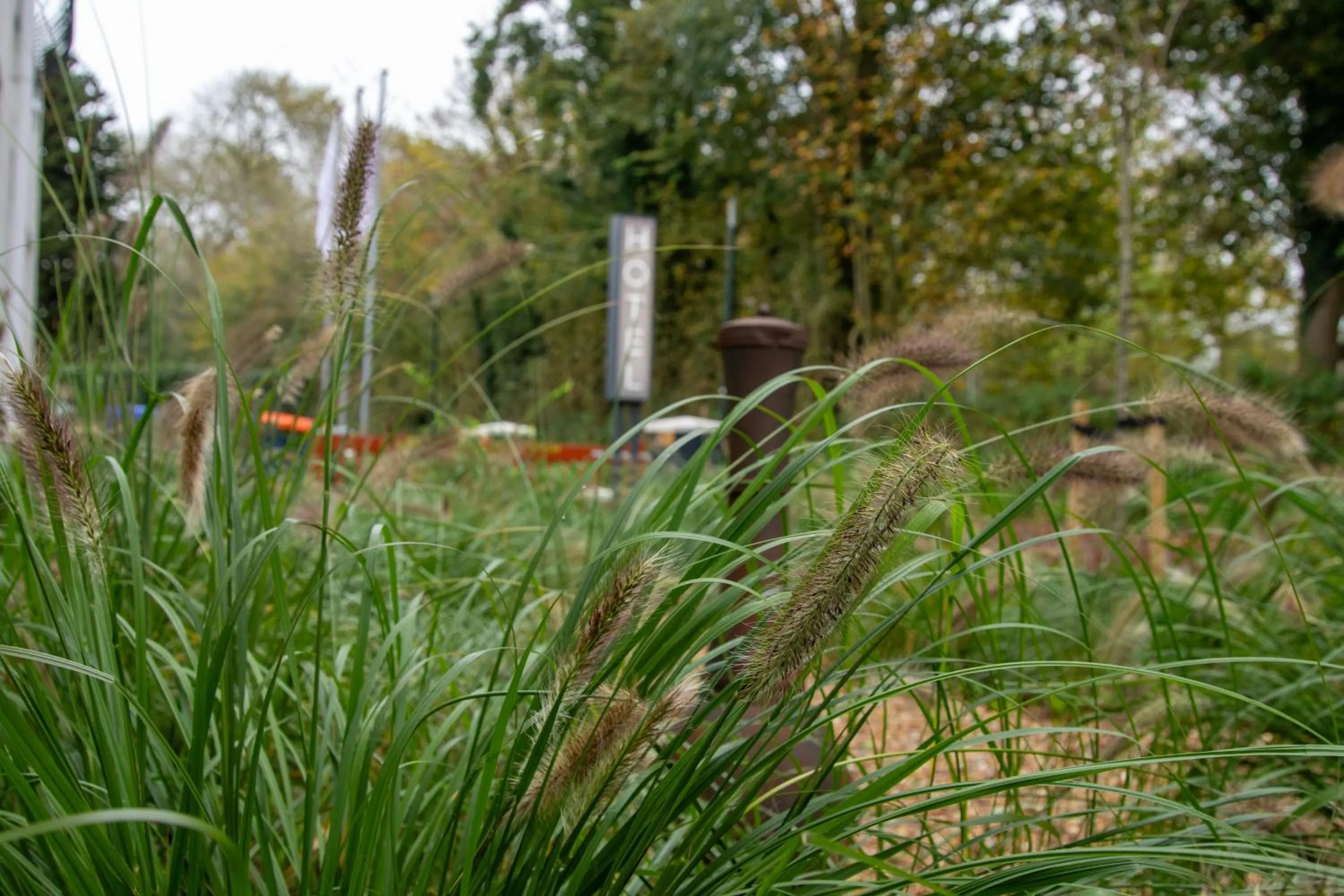 Strandhotel de Logerij Renesse