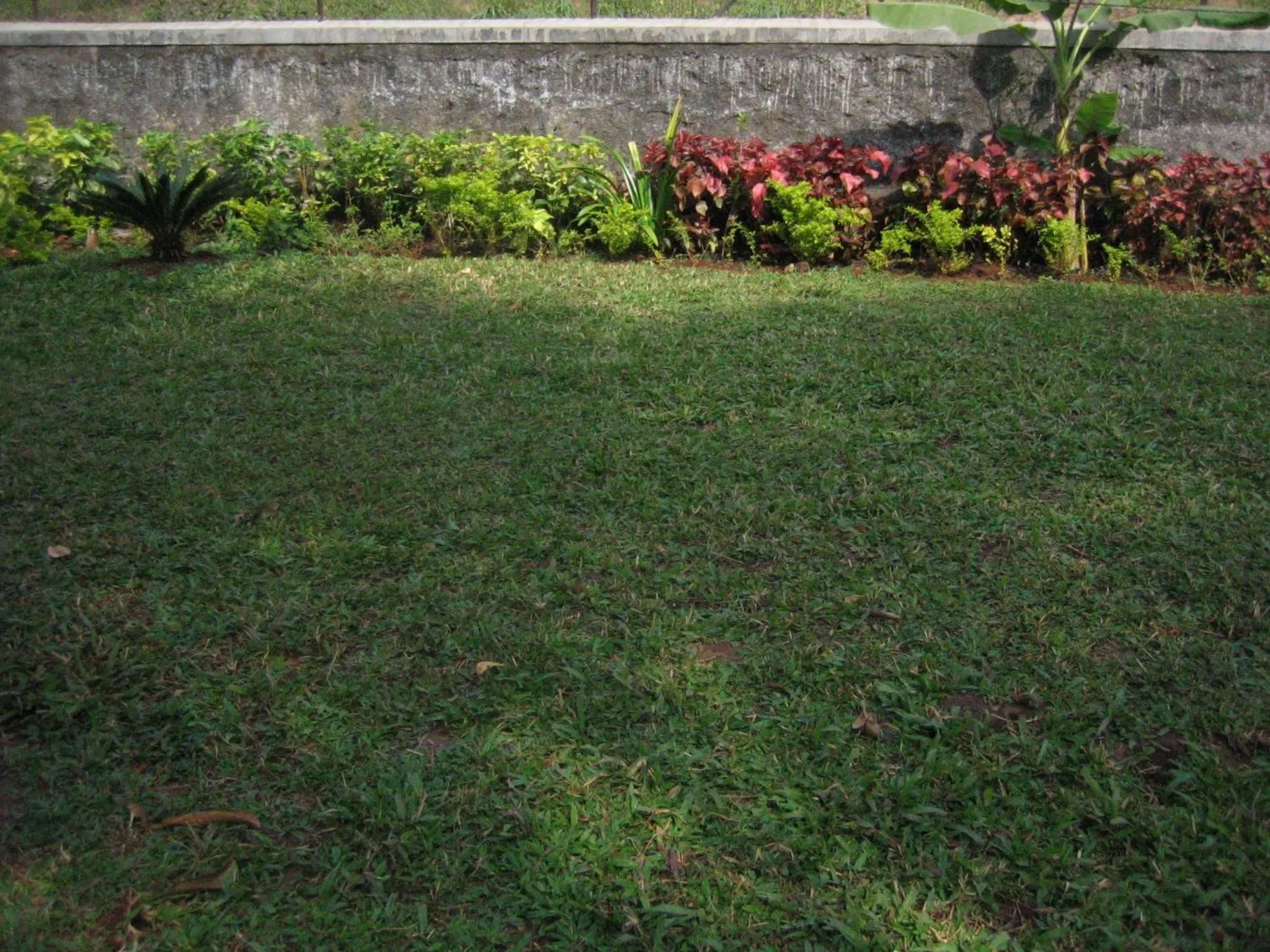Garden in Hotel Ferreira Resort