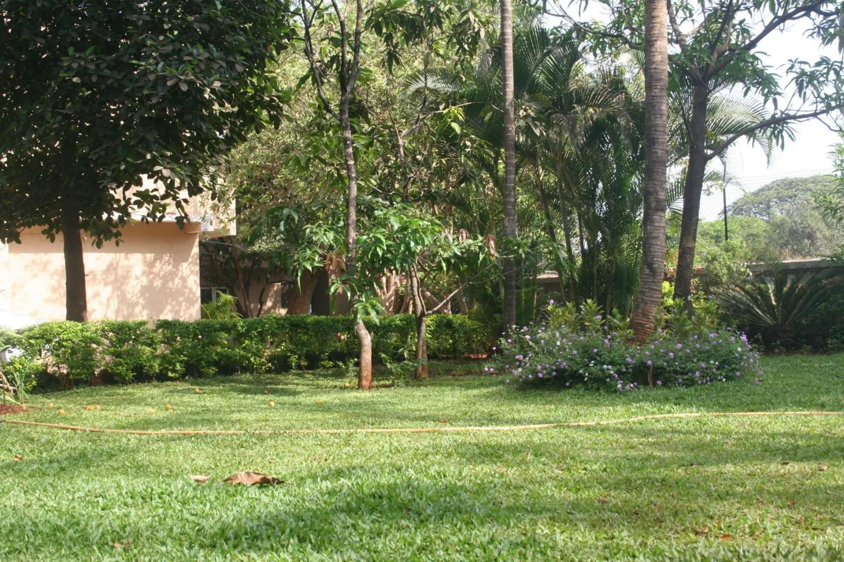 Garden in Hotel Ferreira Resort