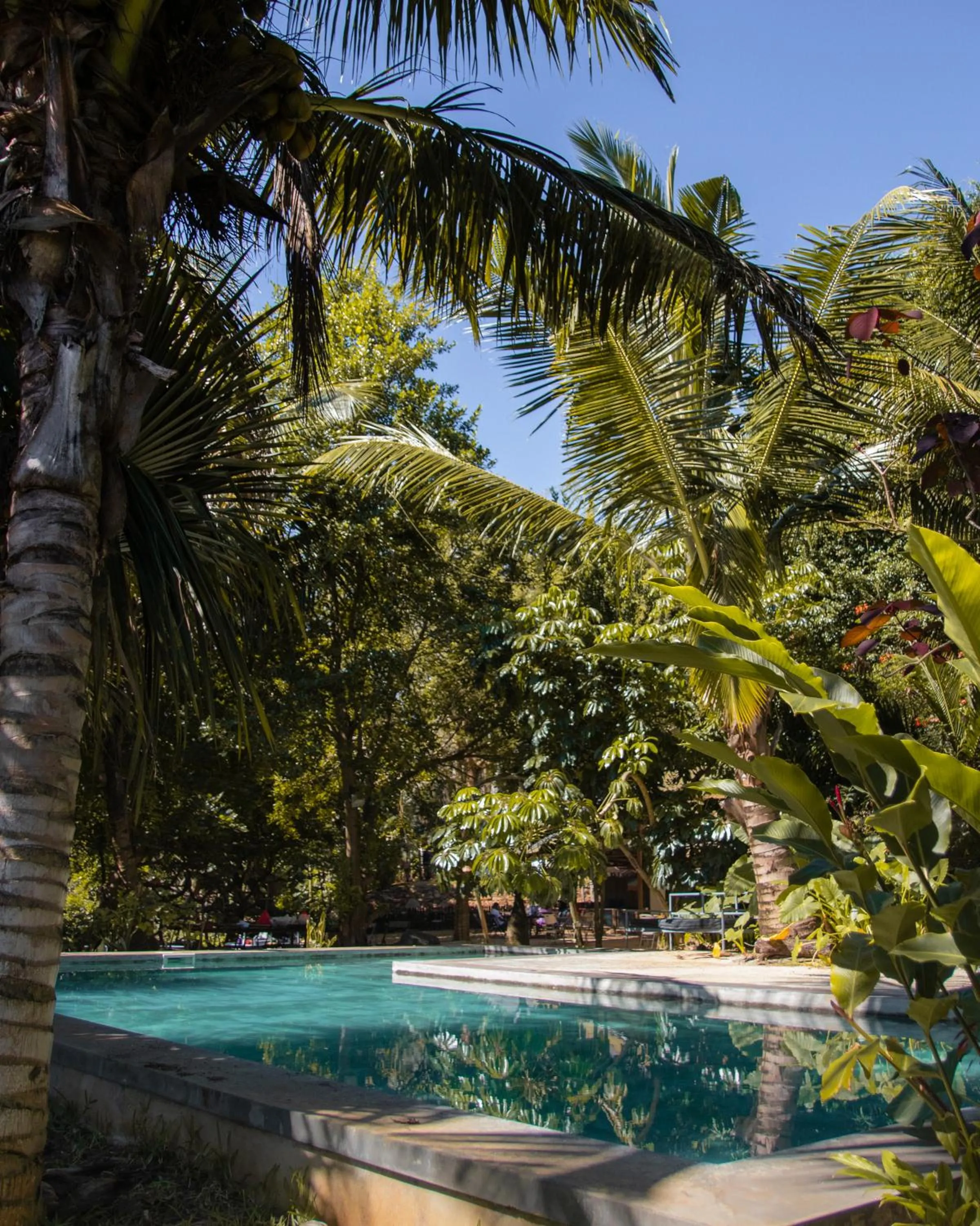 Day in Nativ Lodge and Spa