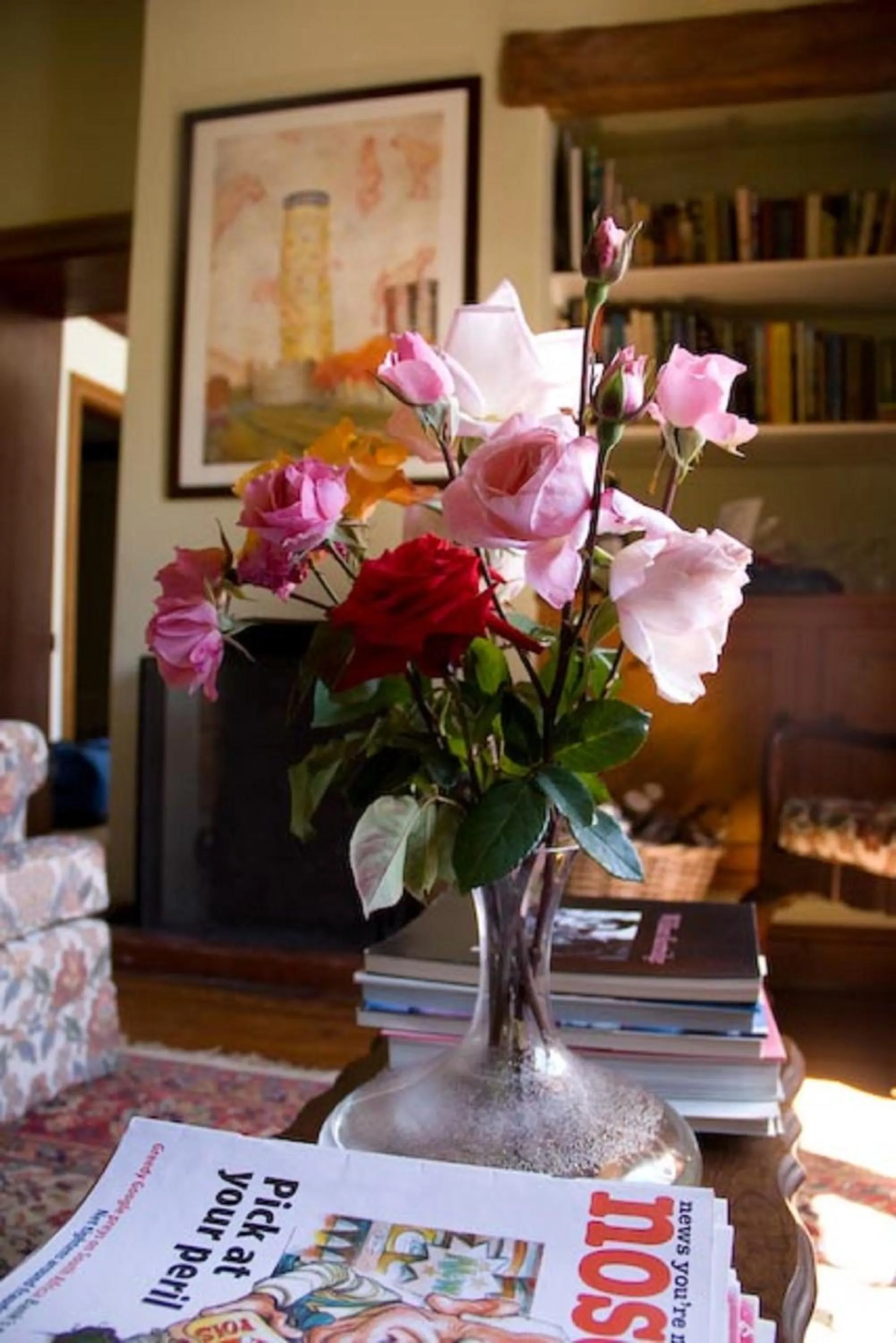 Library in Wildekrans Country House