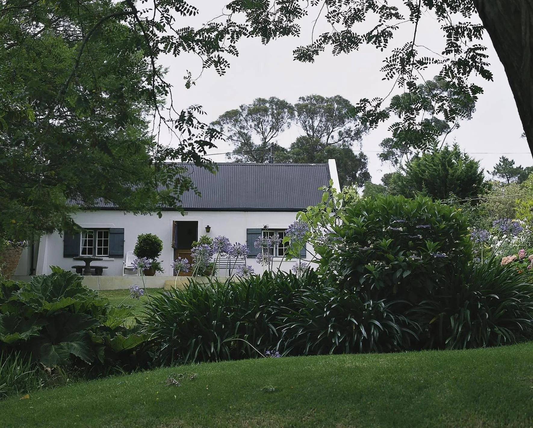 Area and facilities in Wildekrans Country House