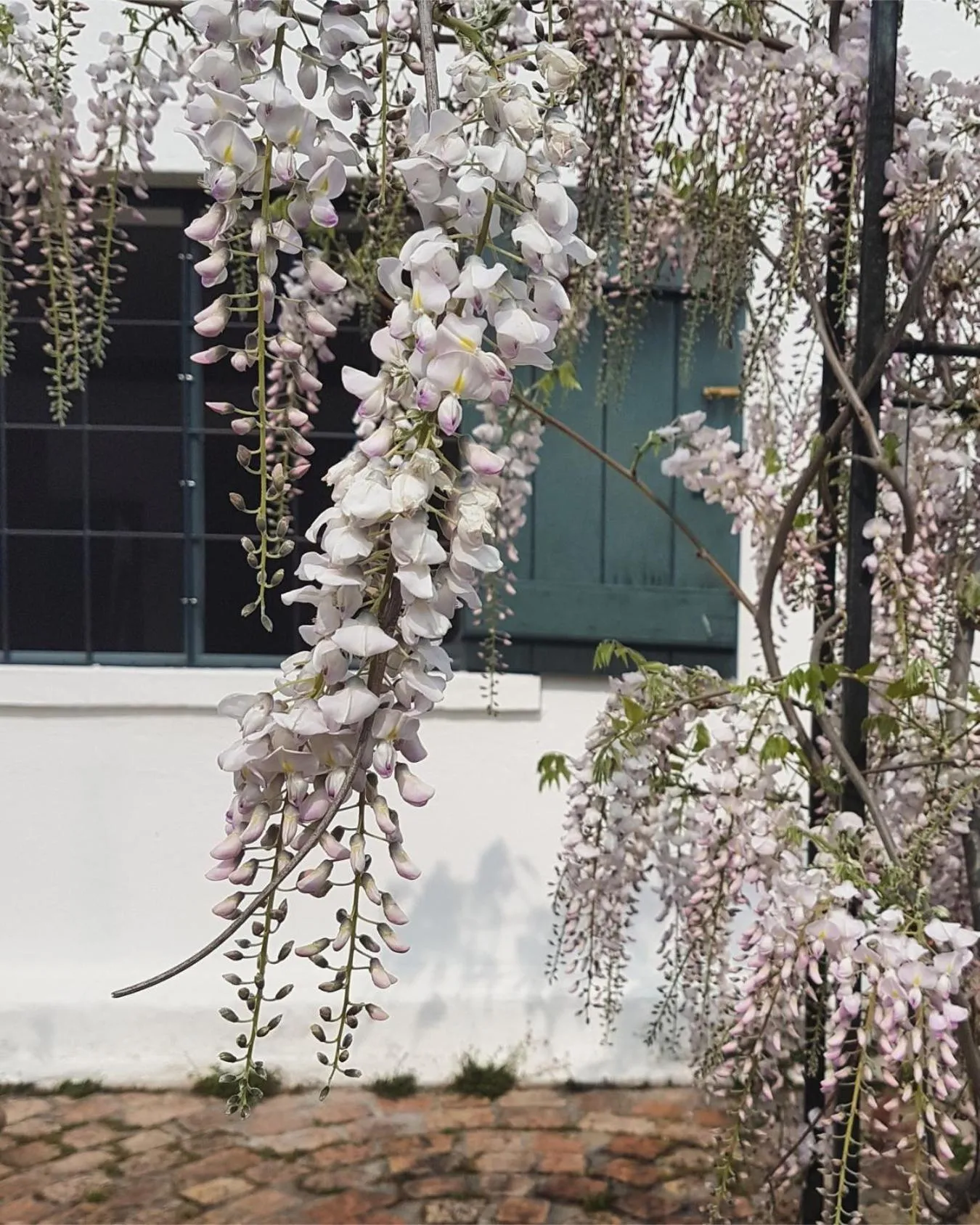 Garden in Wildekrans Country House