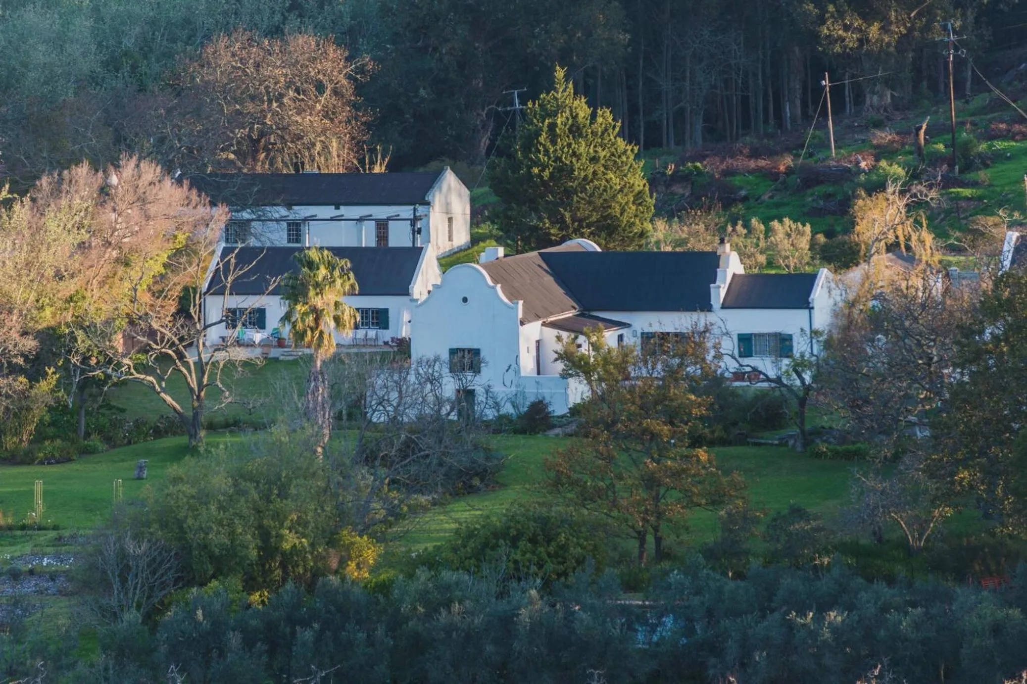Bird's eye view in Wildekrans Country House