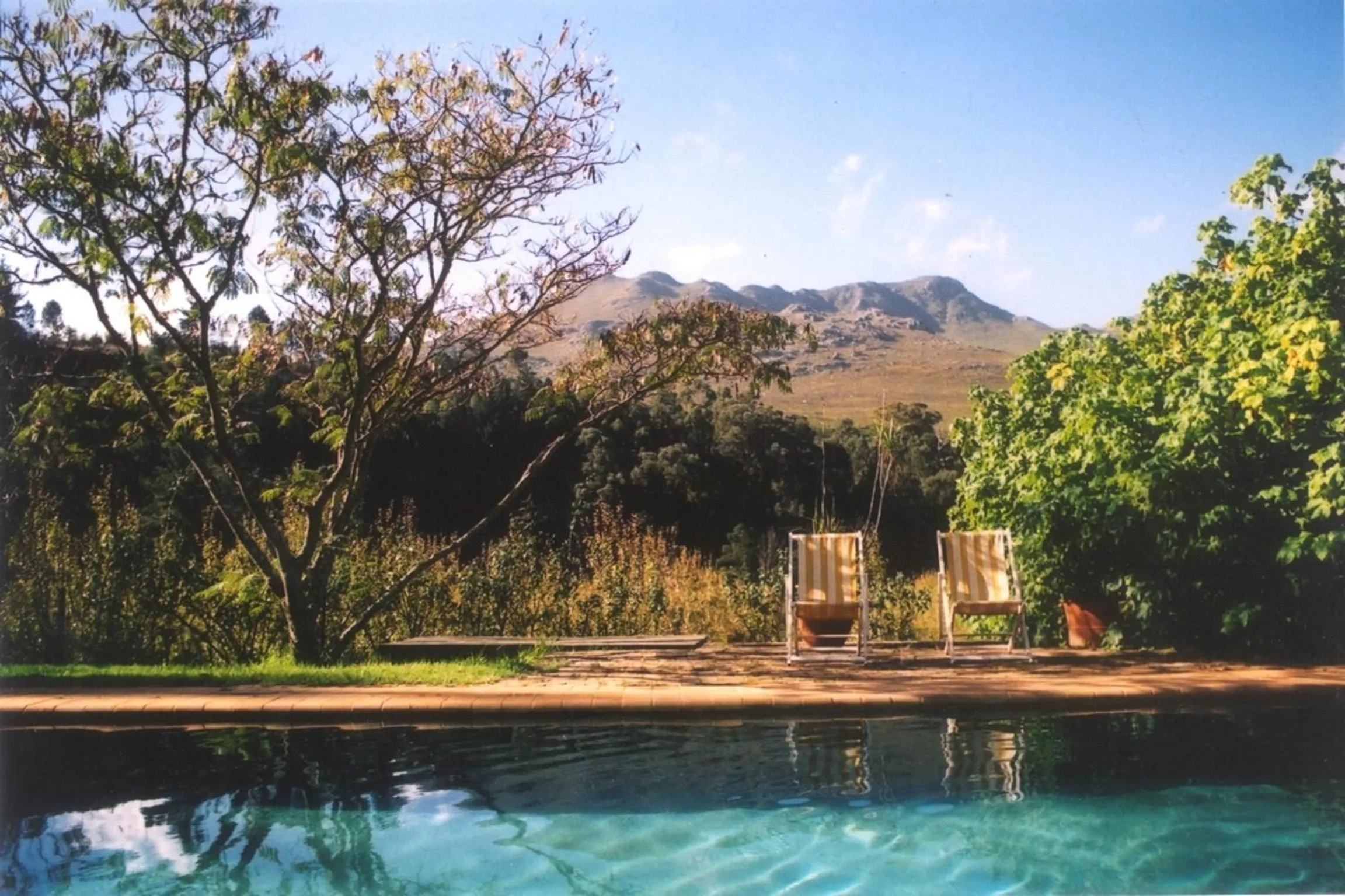 Swimming pool in Wildekrans Country House