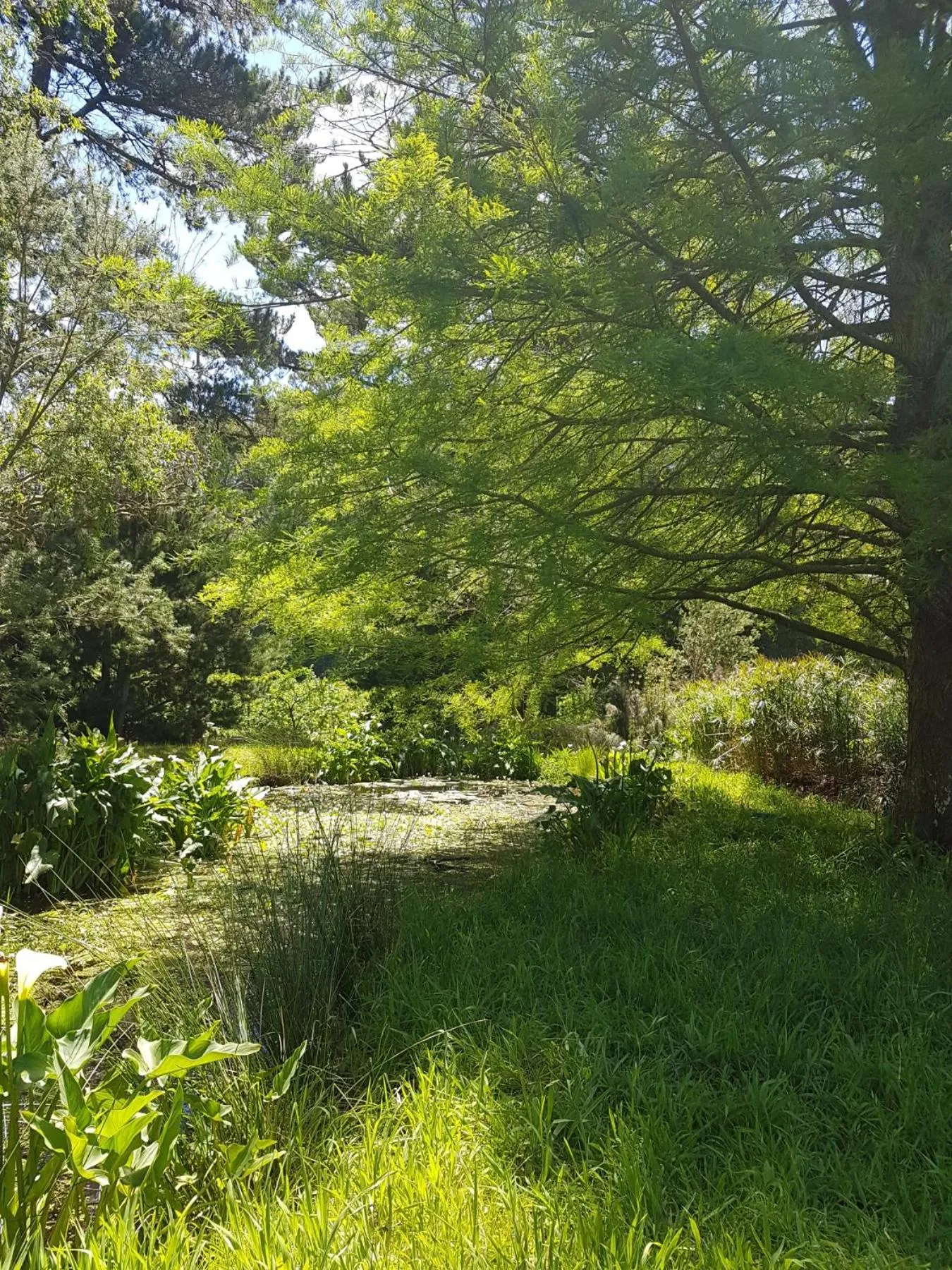 Garden in Wildekrans Country House
