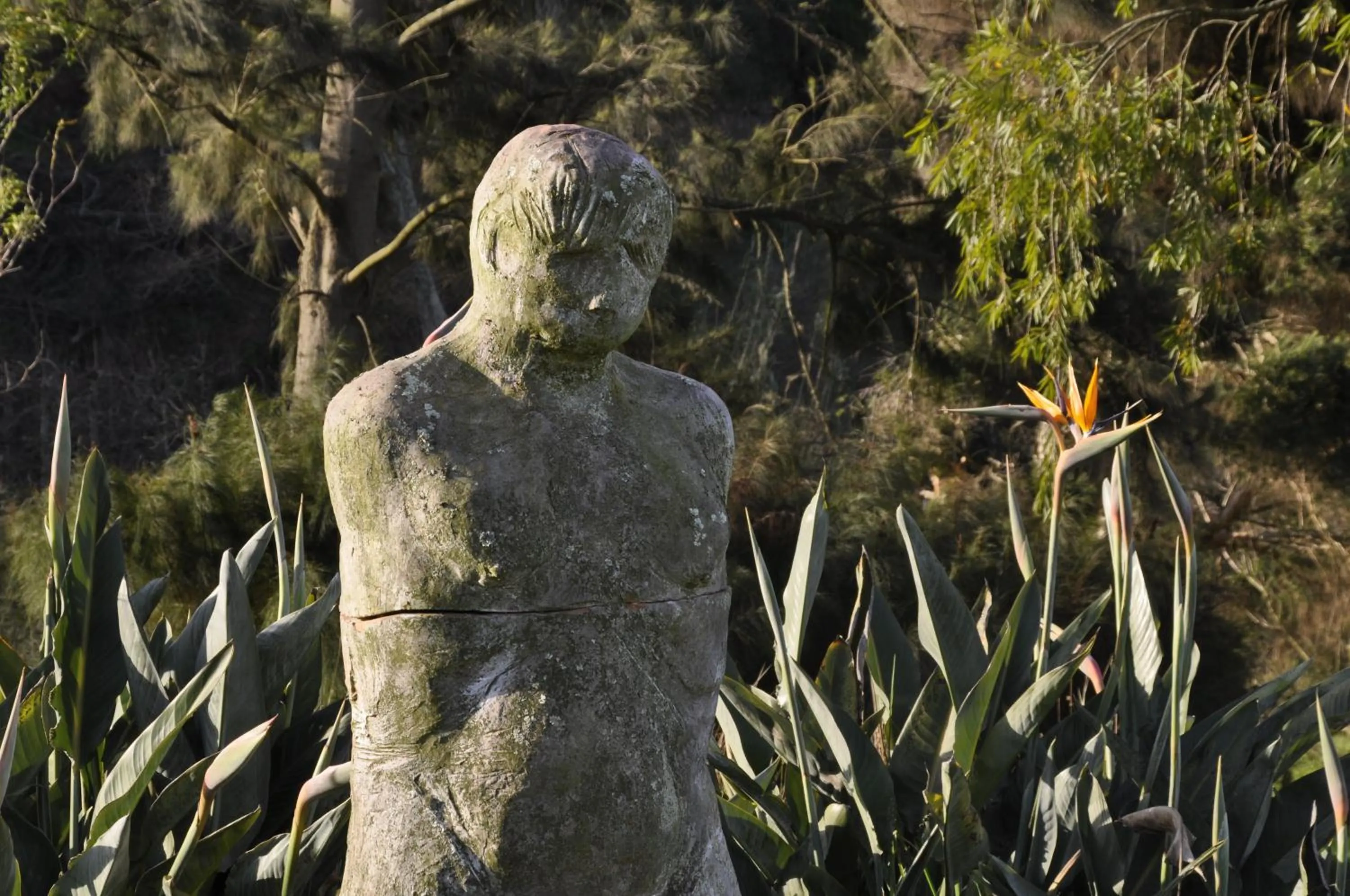 Garden in Wildekrans Country House