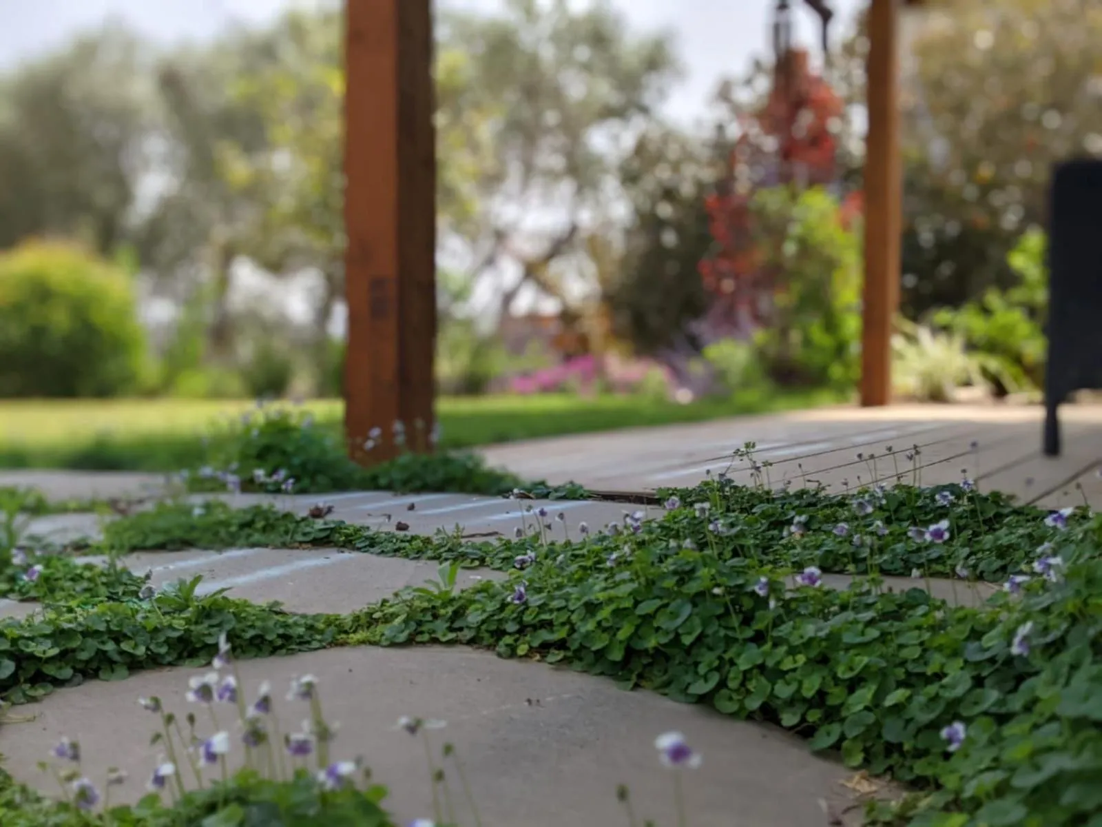 Provence in the Valley