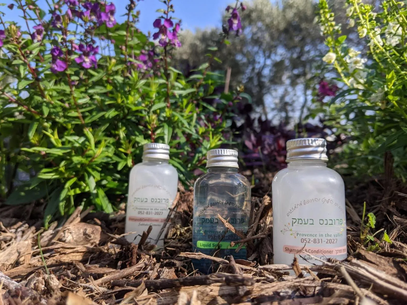 Provence in the Valley