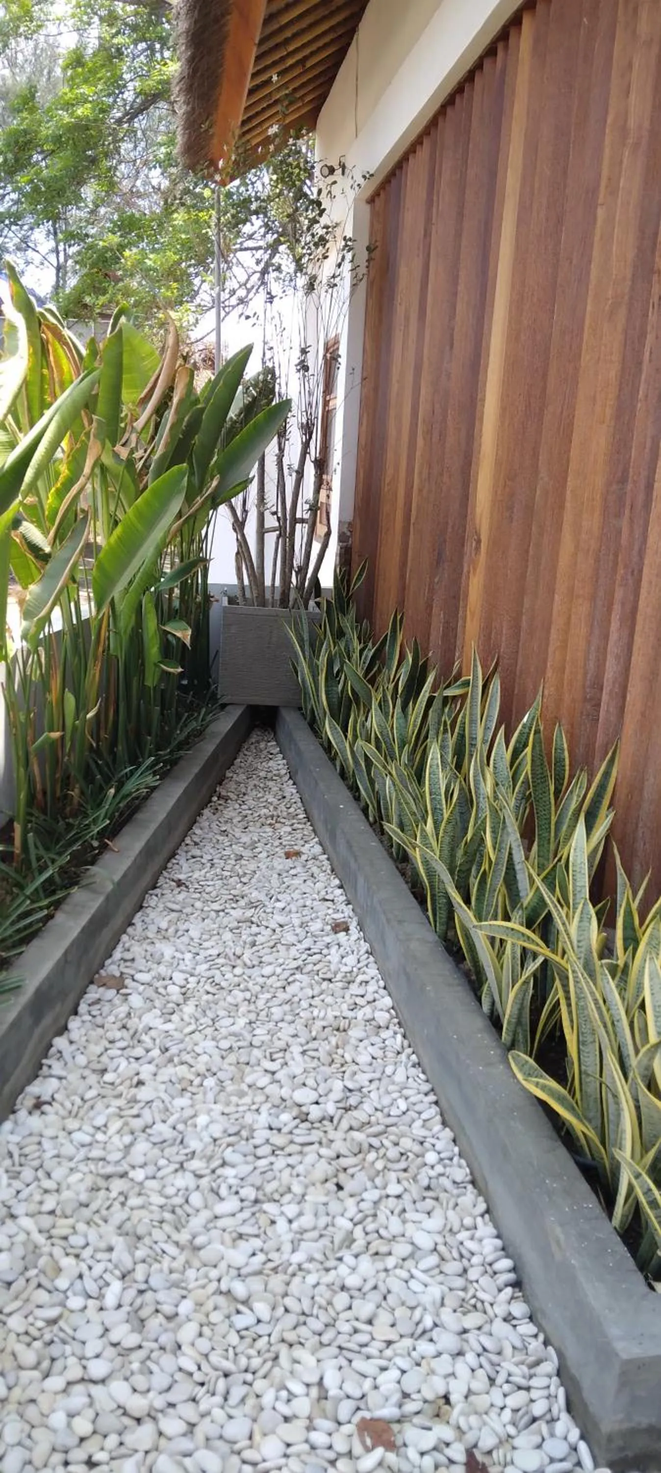 Garden in Roots Hotel Trawangan