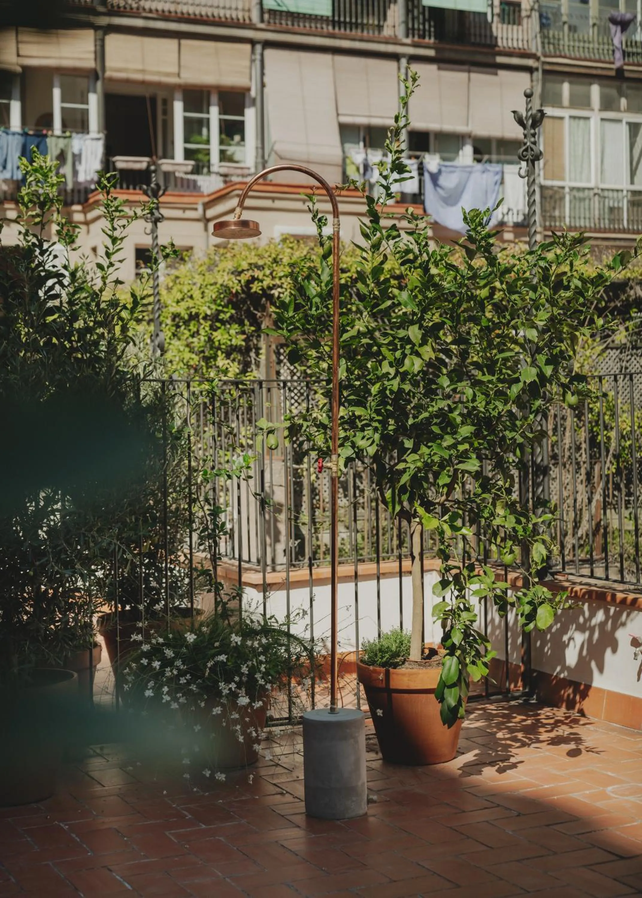Garden in Casa Llimona Hotel Boutique