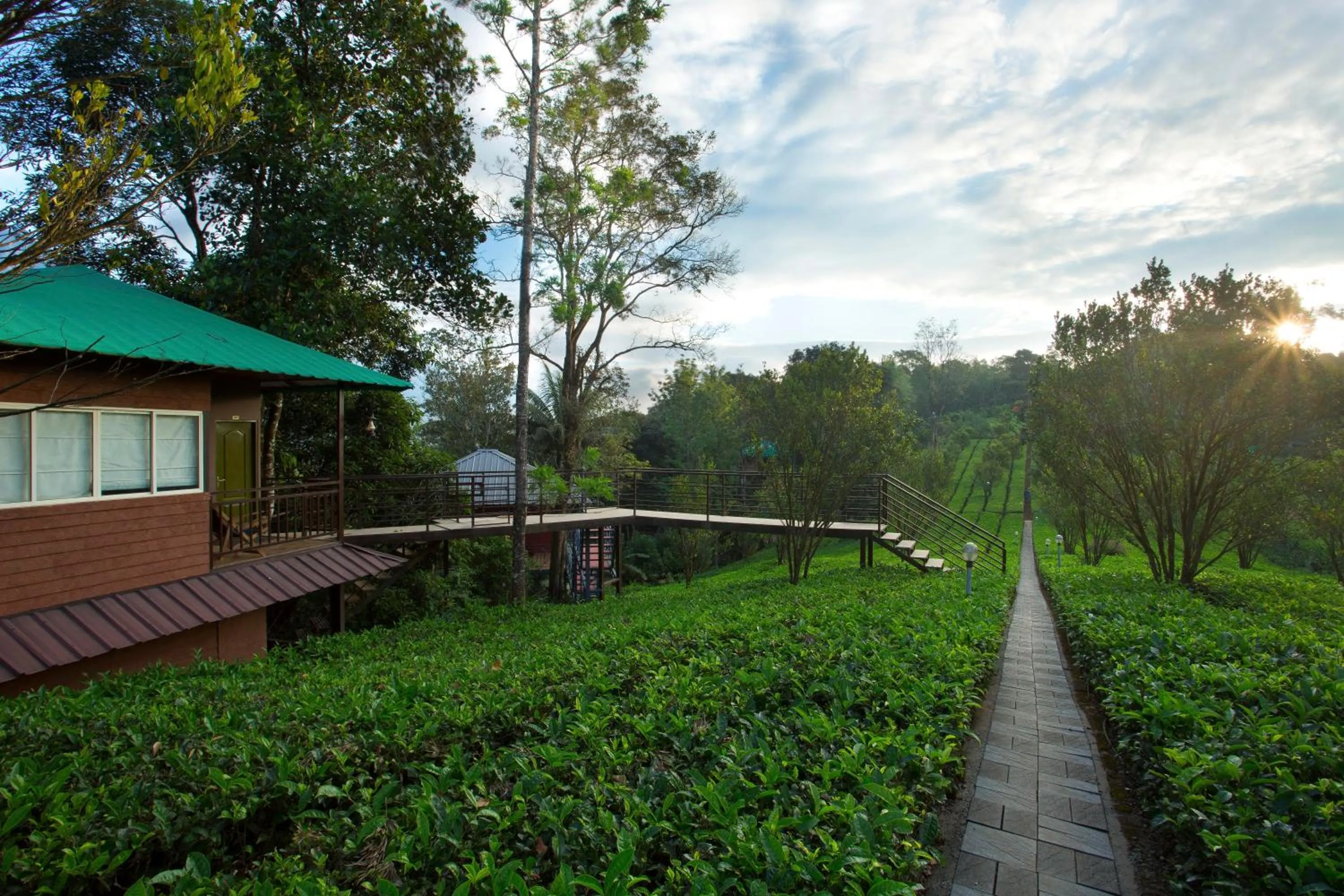 Dream Catcher Plantation Resort