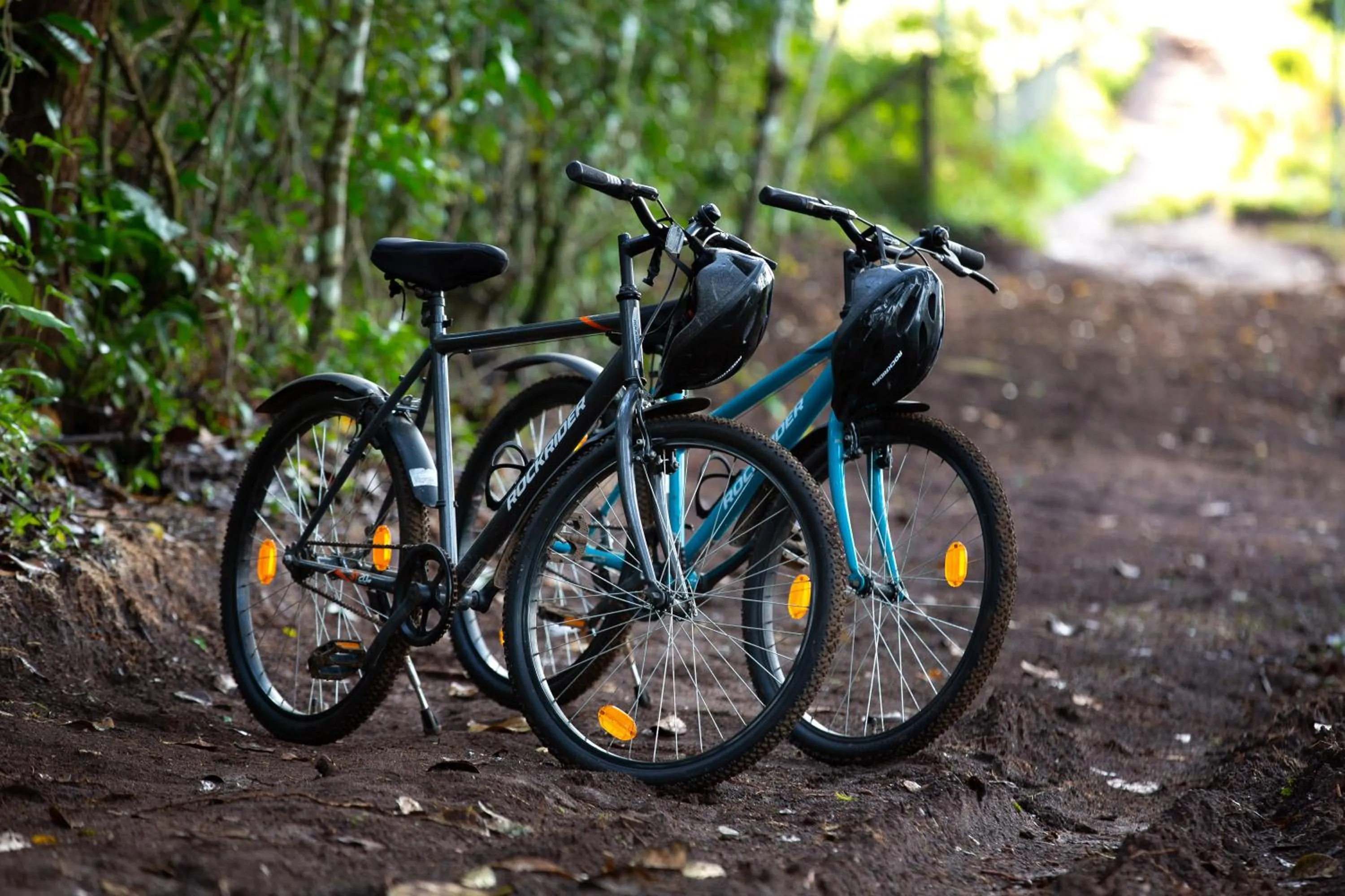 Dream Catcher Plantation Resort