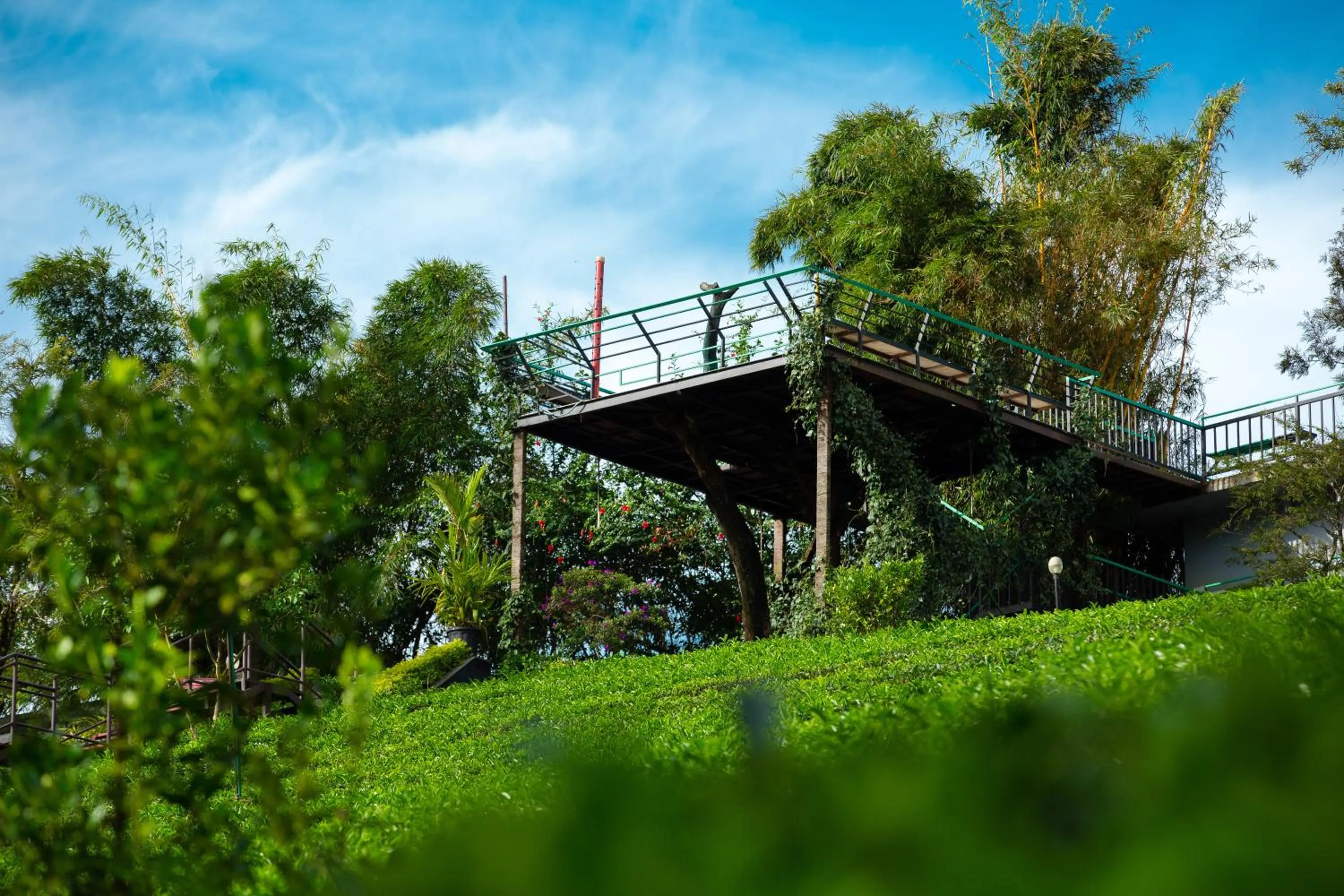 Dream Catcher Plantation Resort