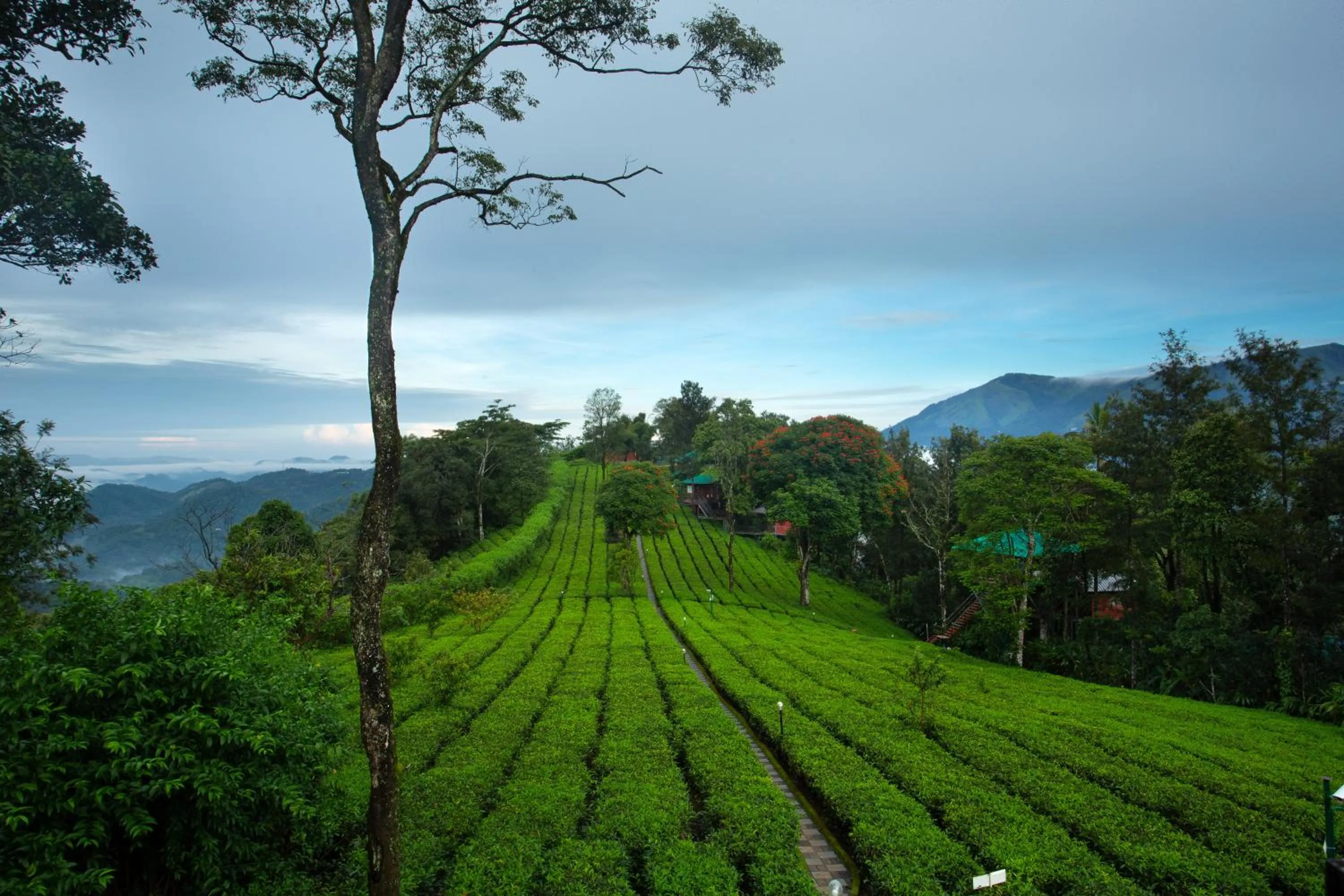Dream Catcher Plantation Resort