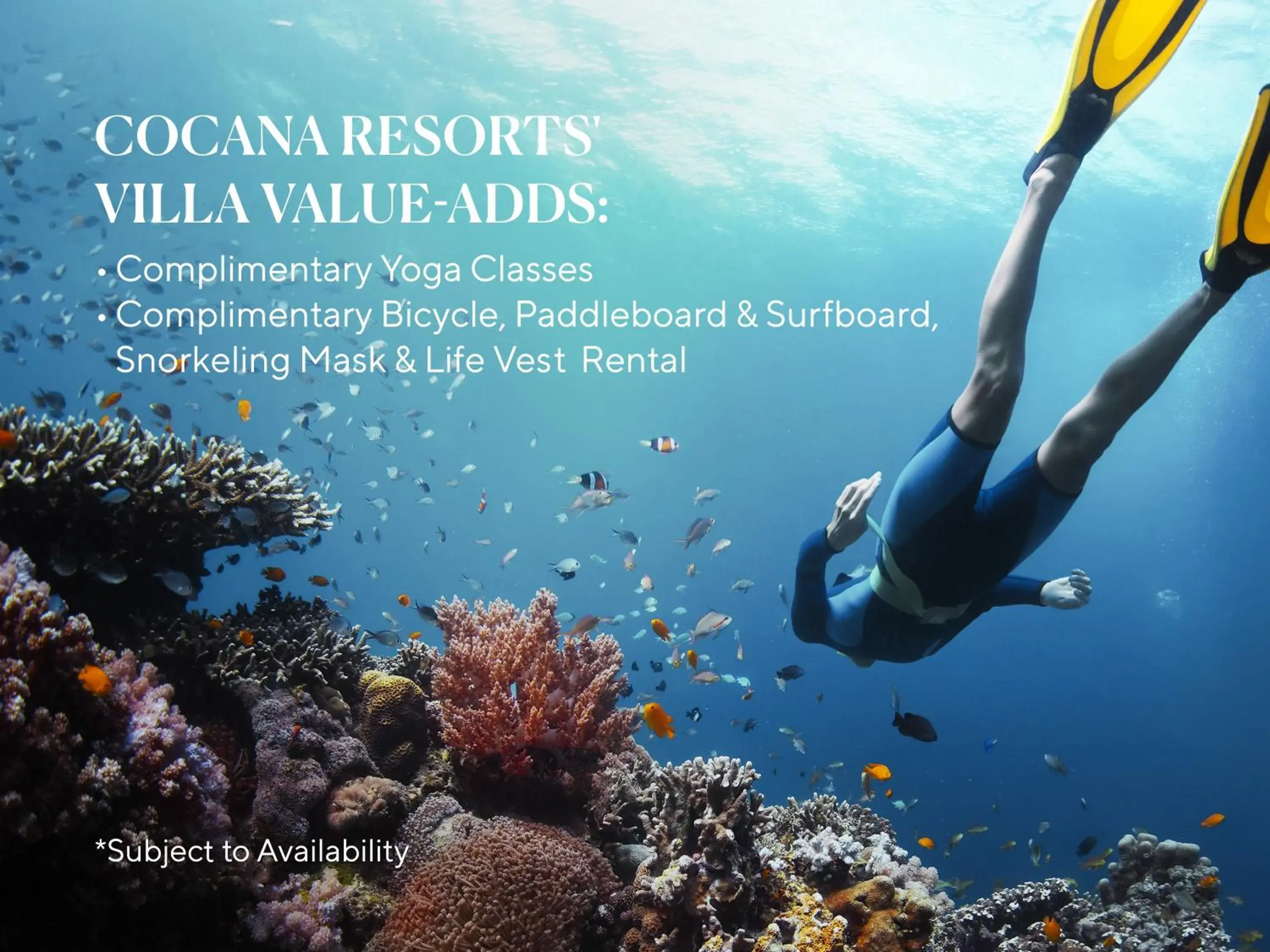 One-Bedroom Villa with Private Pool in Cocana Resort Gili Trawangan One-Bedroom Villa with Private Pool in Cocana Resort Gili Trawangan