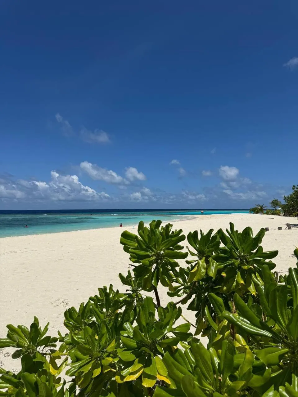 Beach in Raalhu Fonu Maldives