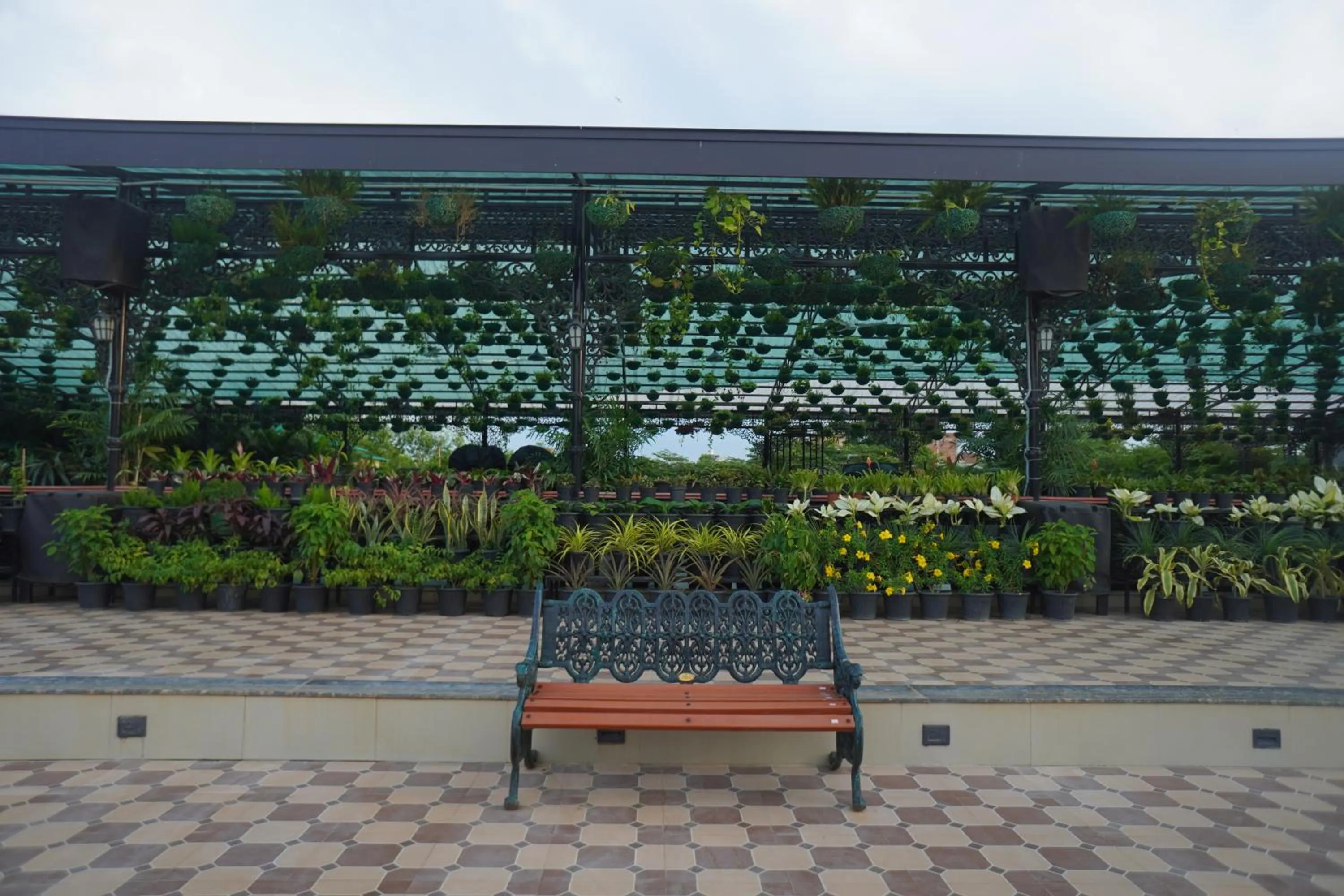 Garden in Mayfair Purnea