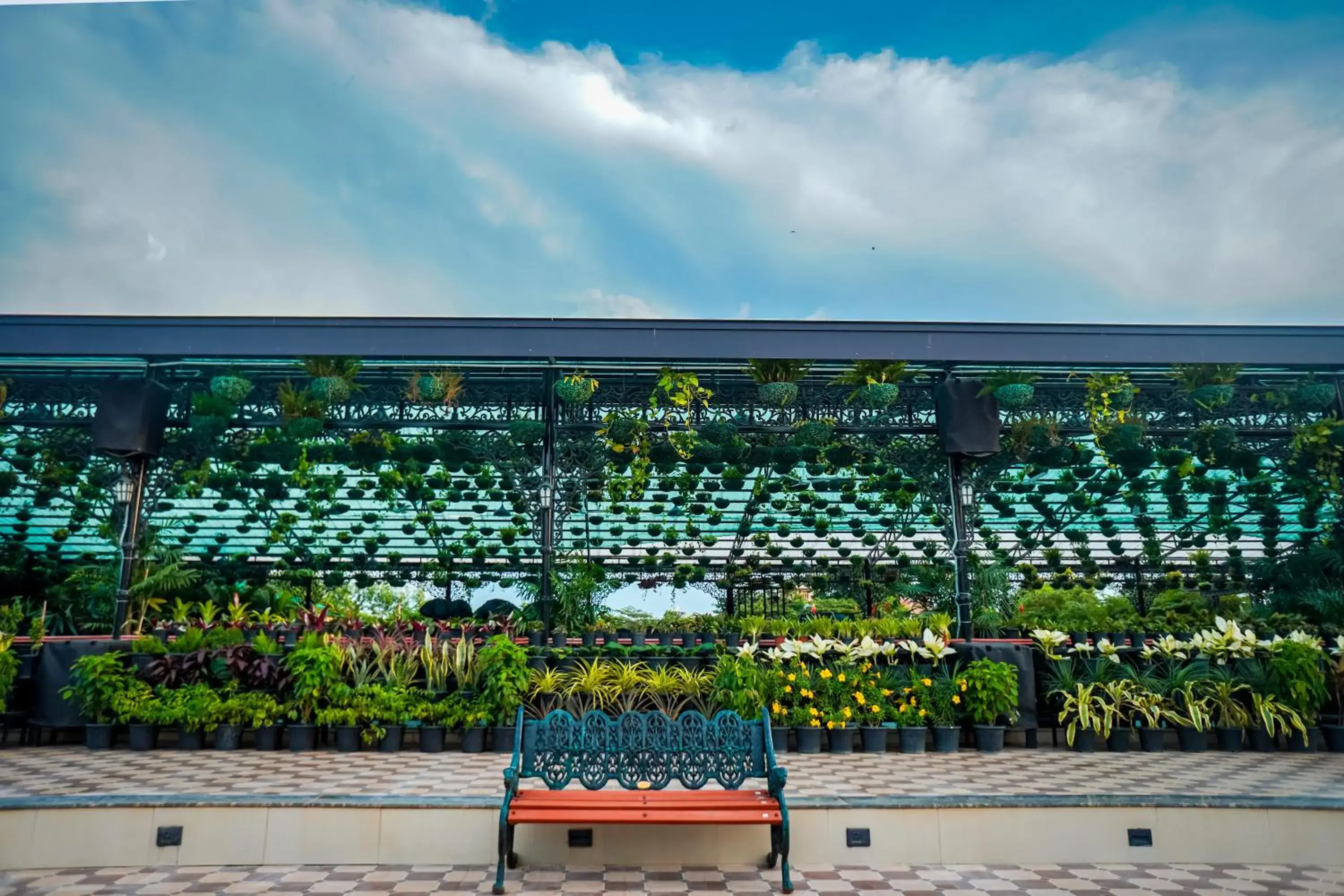 Day in Mayfair Purnea Day in Mayfair Purnea