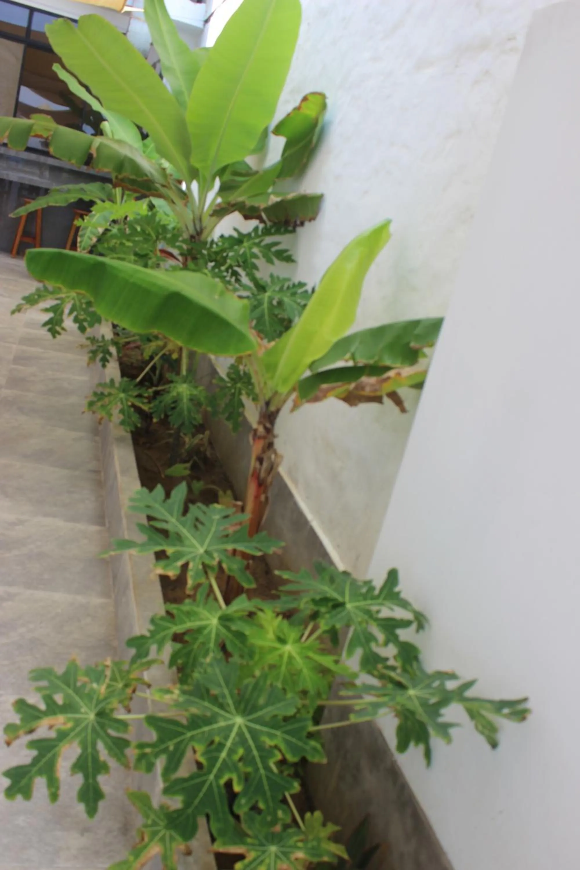 Las Fragatas Casa Hotel