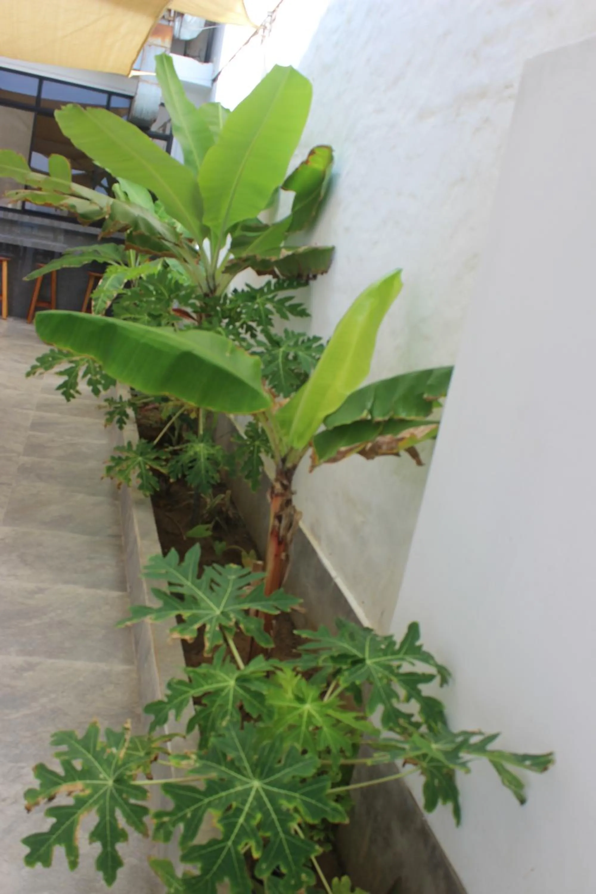 Las Fragatas Casa Hotel