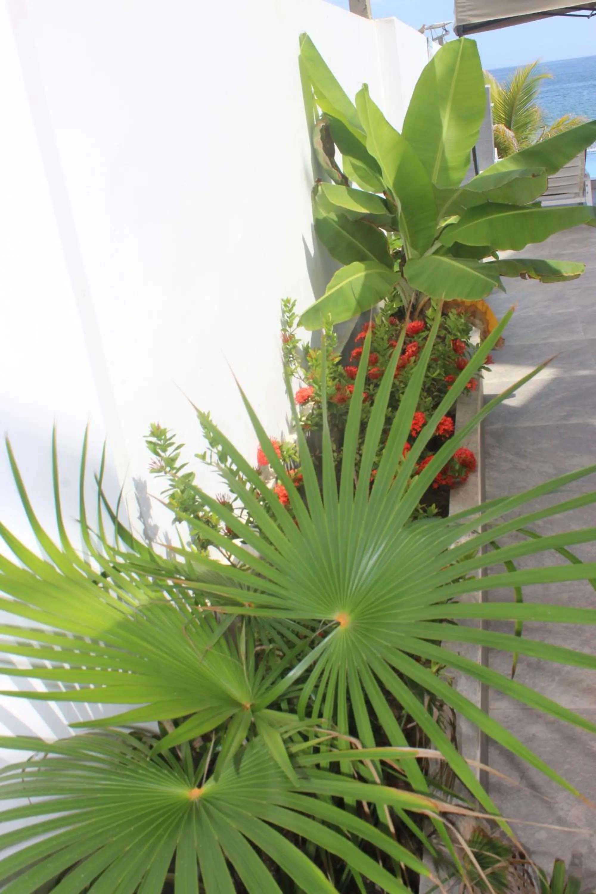 Las Fragatas Casa Hotel