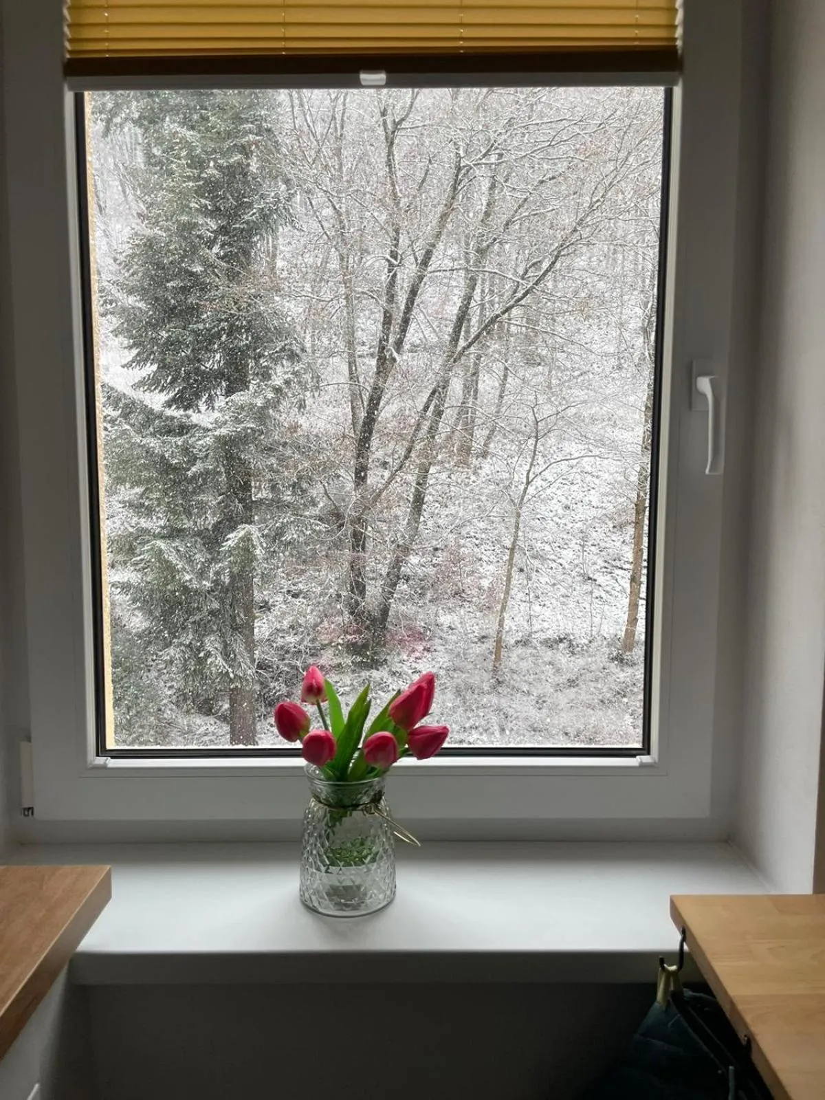 Apartmán Claudia - Rezidence K Lanovce