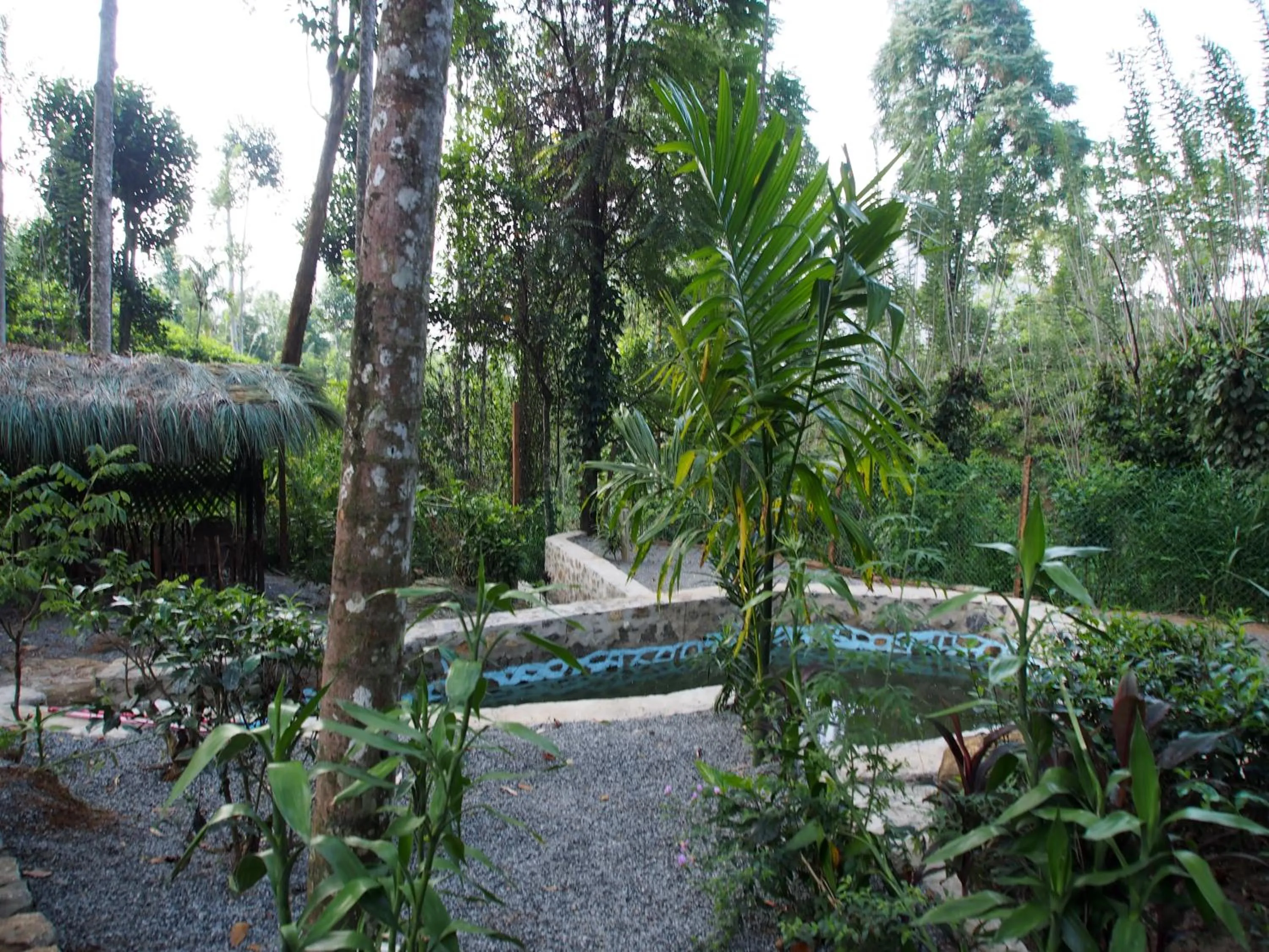 Swimming pool in TEARAMB HOLIDAY BUNGALOW