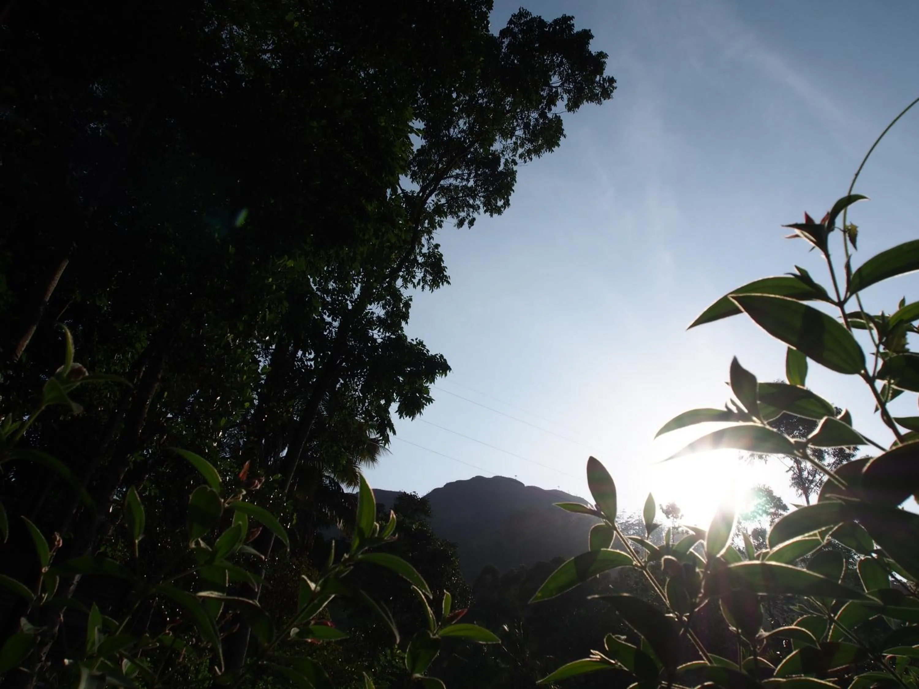 TEARAMB HOLIDAY BUNGALOW