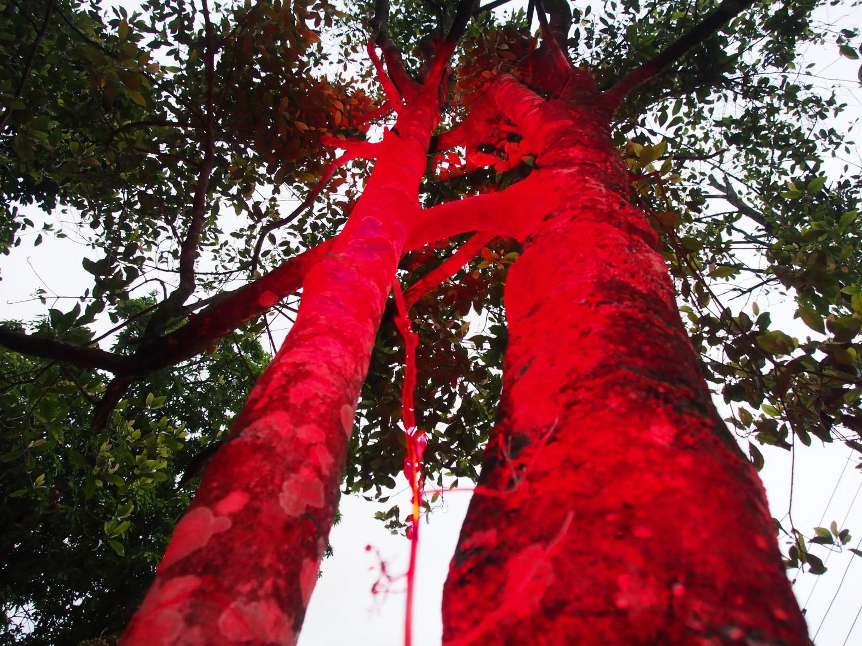 TEARAMB HOLIDAY BUNGALOW